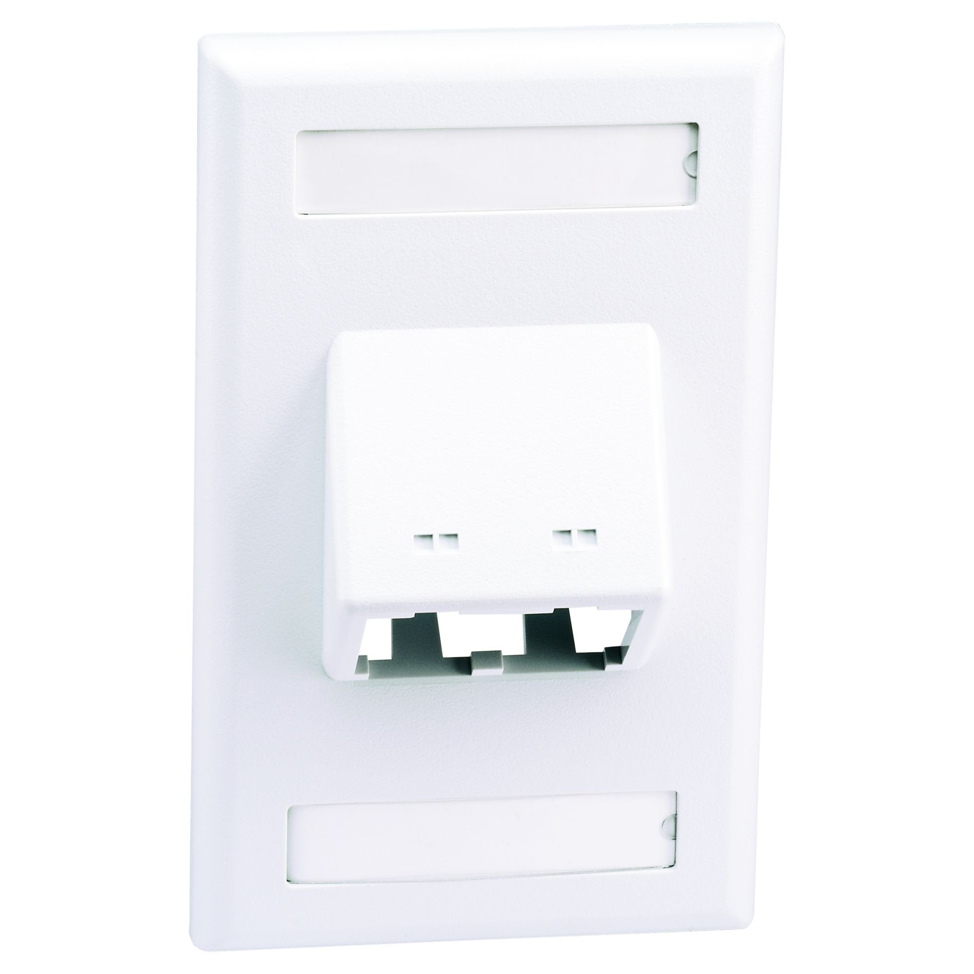 Panduit Cfpsl2Why 1 Gang 2 Port Faceplate, White