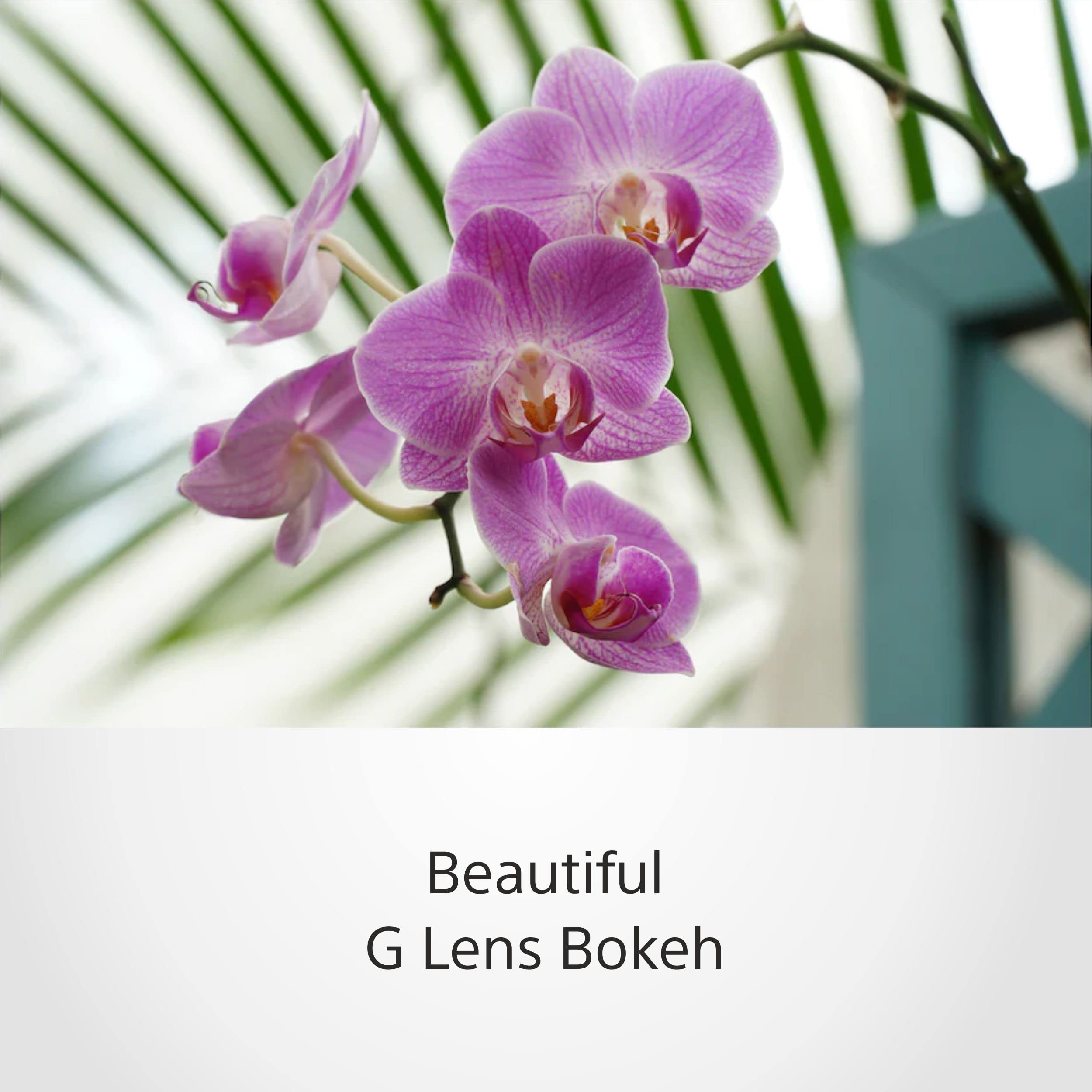 Sony SELP18105G E PZ 18 105mm F4 G OSS , Black