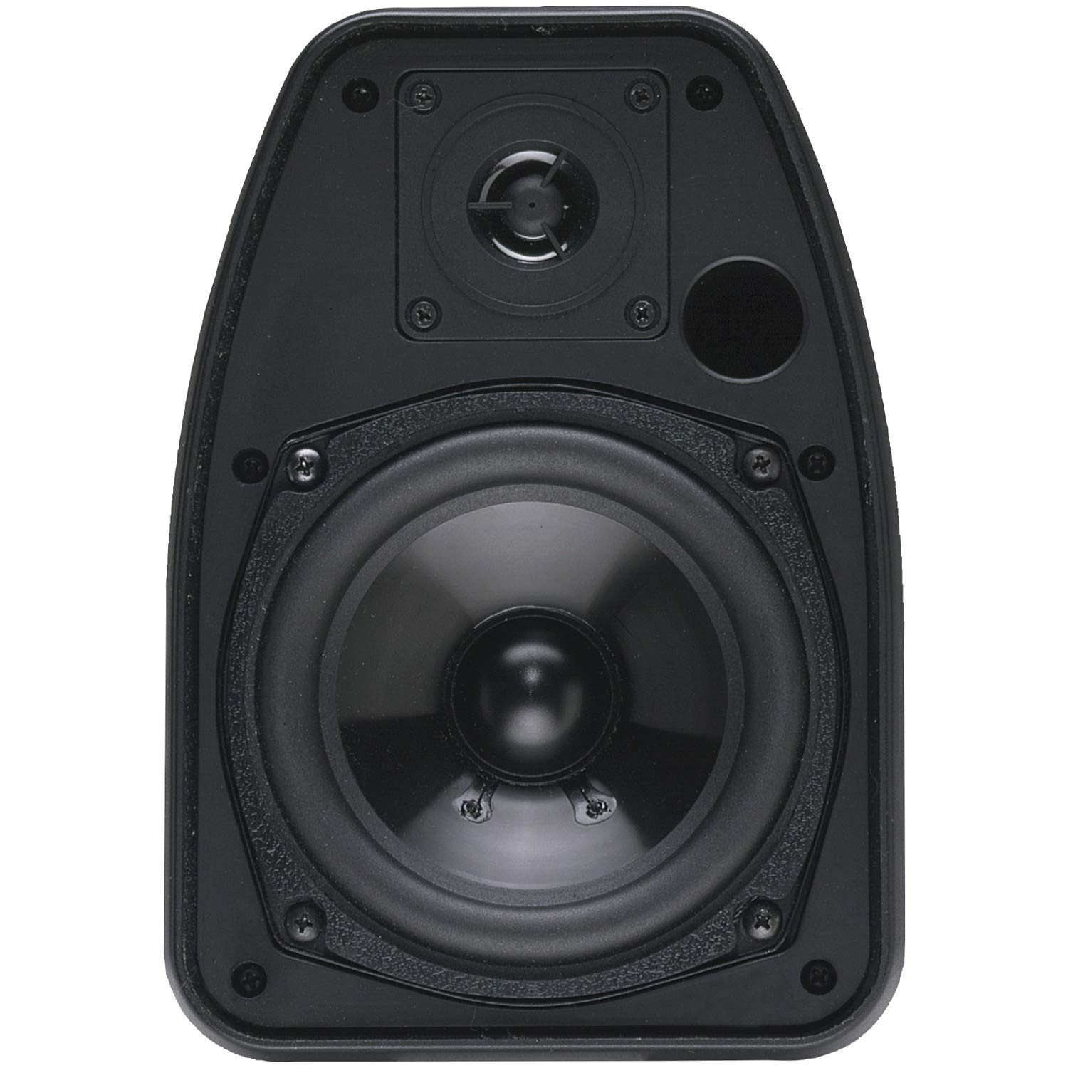 Bic America Adatto Dv52Si Adatto Indoor/Outdoor Speakers (Black)