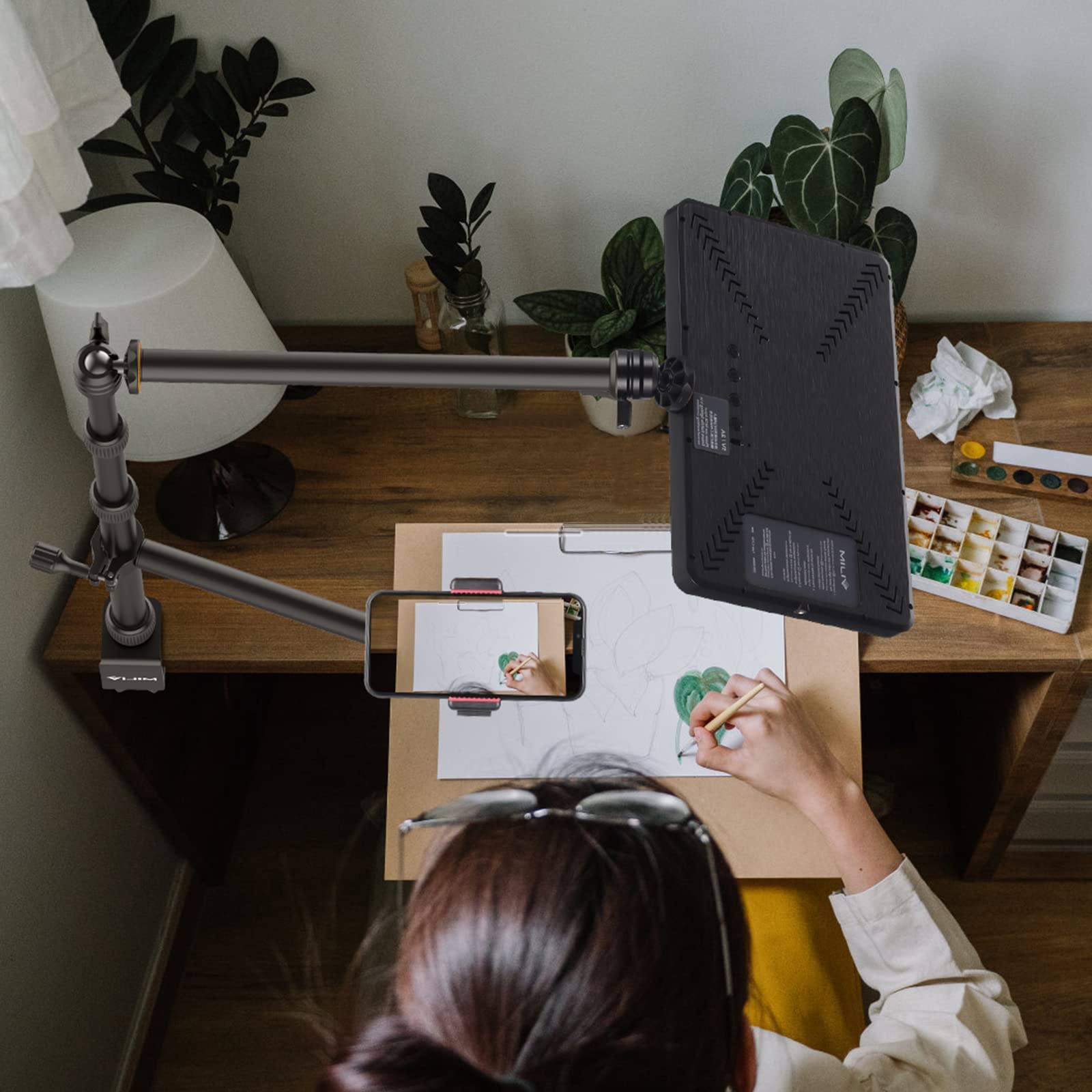 Pictron Vijim Flexible Arm Auxiliary Holding Arm, Detachable 2 Section Magic Arm For Any Camera Desk Mount, Cameras, Lights And More, Multi Mount Accessory (Ls04)