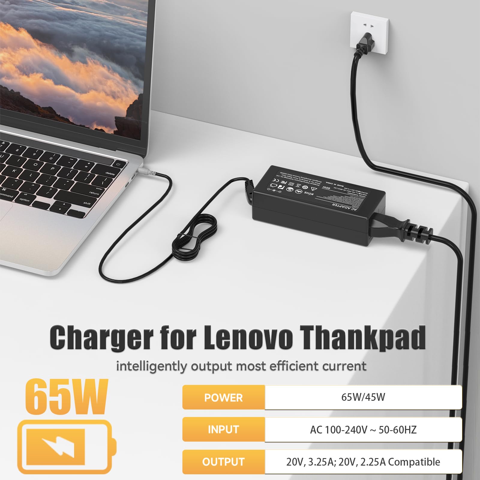 65W Laptop Charger For Lenovo Thinkpad E430 E520 E530 E535 E545; T400 T410 T420 T420S T520 T530 T61 Ac Adapter; Sl500 Sl510 X120E X130E X131E X140E X200 X230 X201 X220 X230T X300 X60 S230U Power Cord