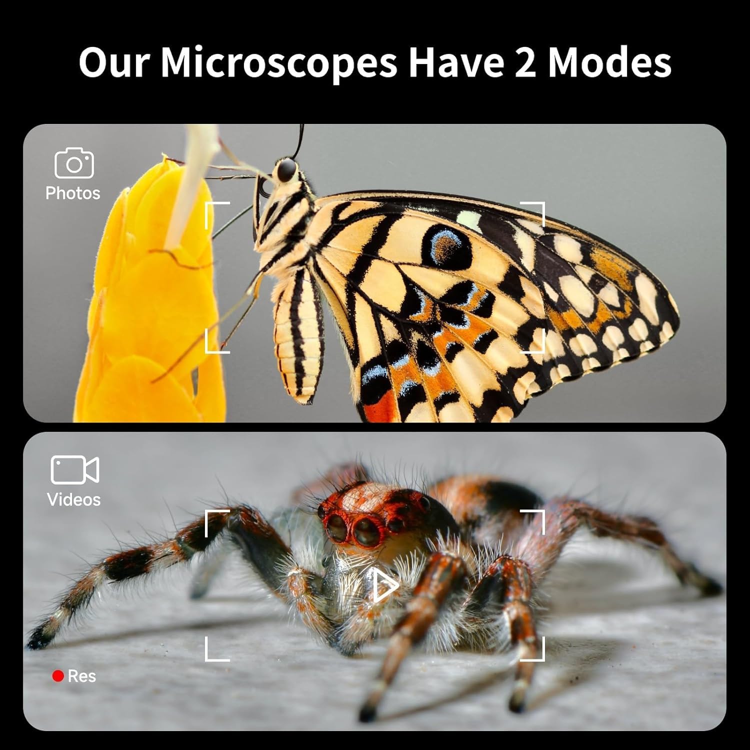 Microscope, 4'' Ips Kids Microscope, 100 1600X Screen Mini Microscope For Kids, Handheld Pocket Digital Microscope Science Kits