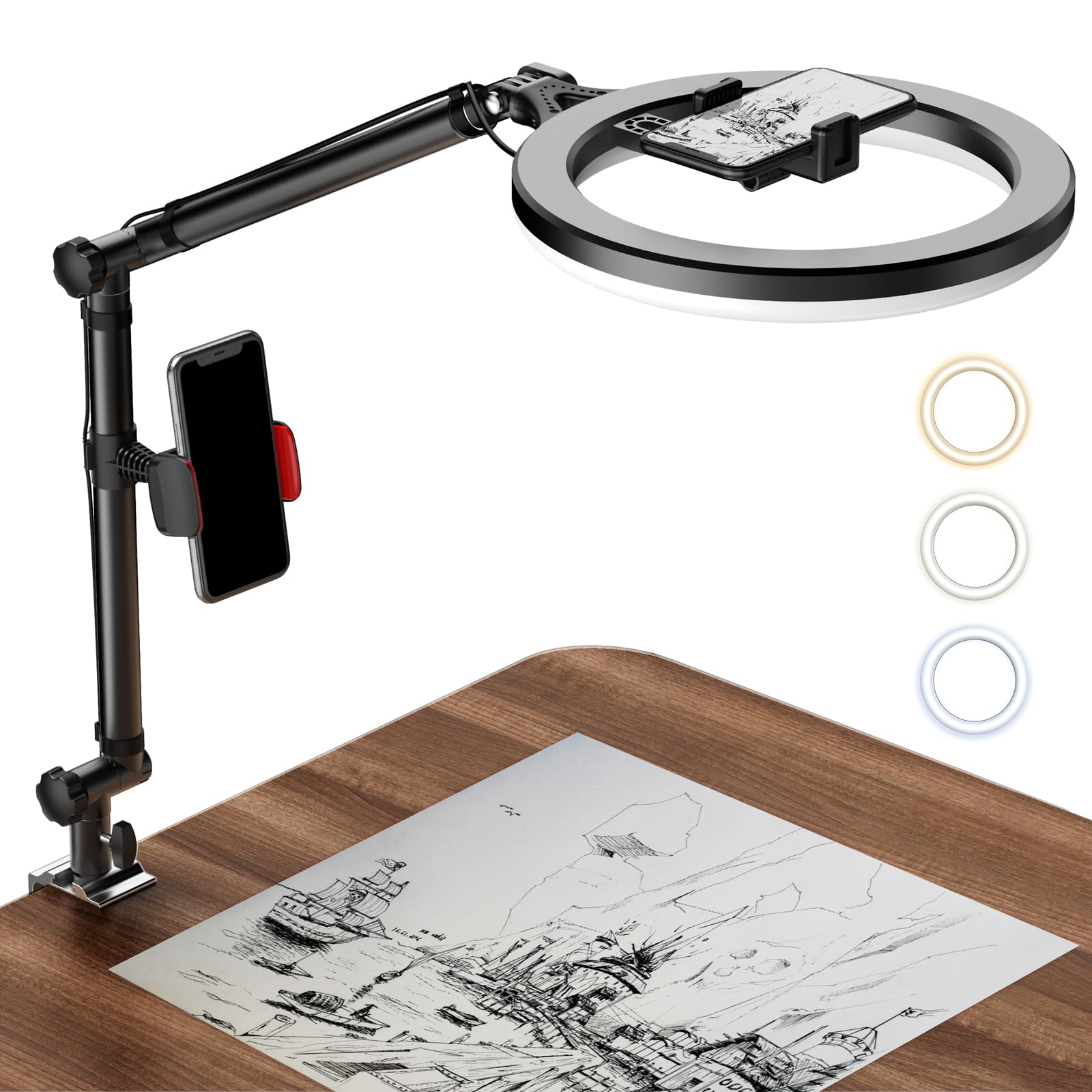 Ring Light With Stand And Phone Holder, Usb 10'' Ring Light For Desk, Overhead Camera Mount With Ringlight, Desk Lamp With Clamp