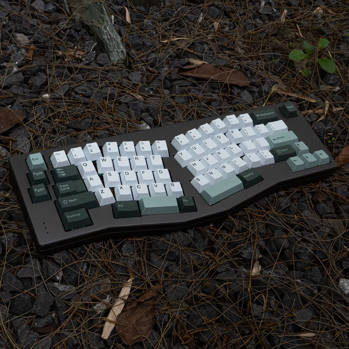 Mintcaps Botanical Keycaps Set 173 Keys Cherry Profile Doubleshot Custom Keyboard Keycaps Iso Ansi For Cherry Mx Gateron 60% 65%