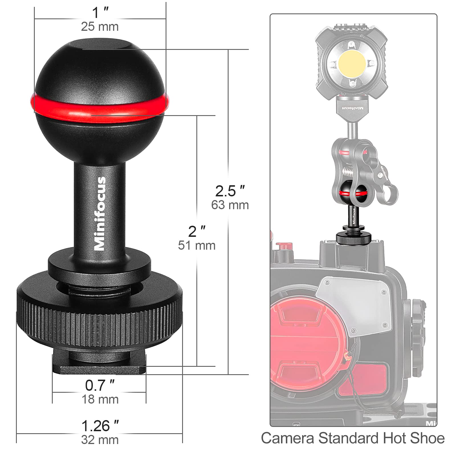 Minifocus 1'' Ball Head Cold Shoe Base Adapter, Universal Ball Joint Bracket With Cold Shoe Base Adapter For Diving Light Underw