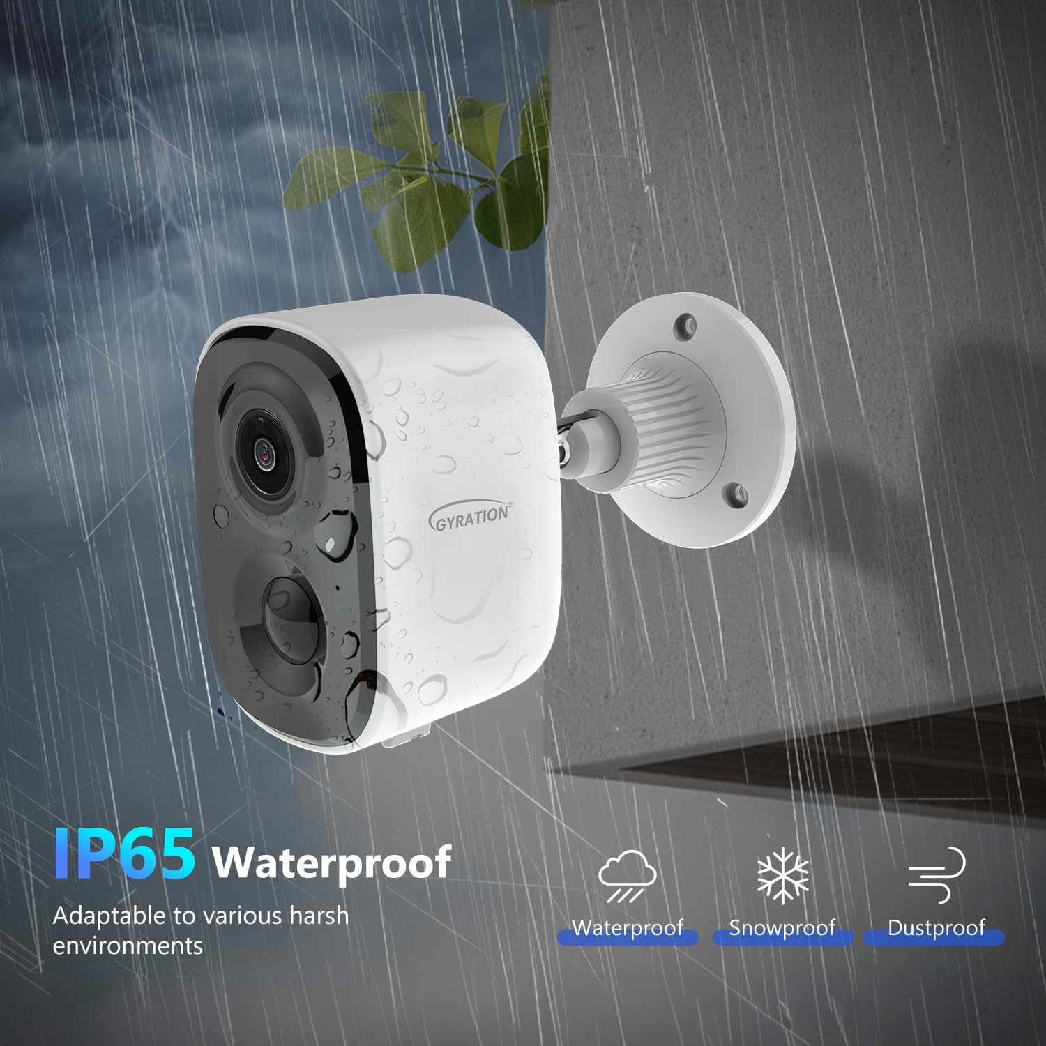 Ip Smkcyberview2010 R