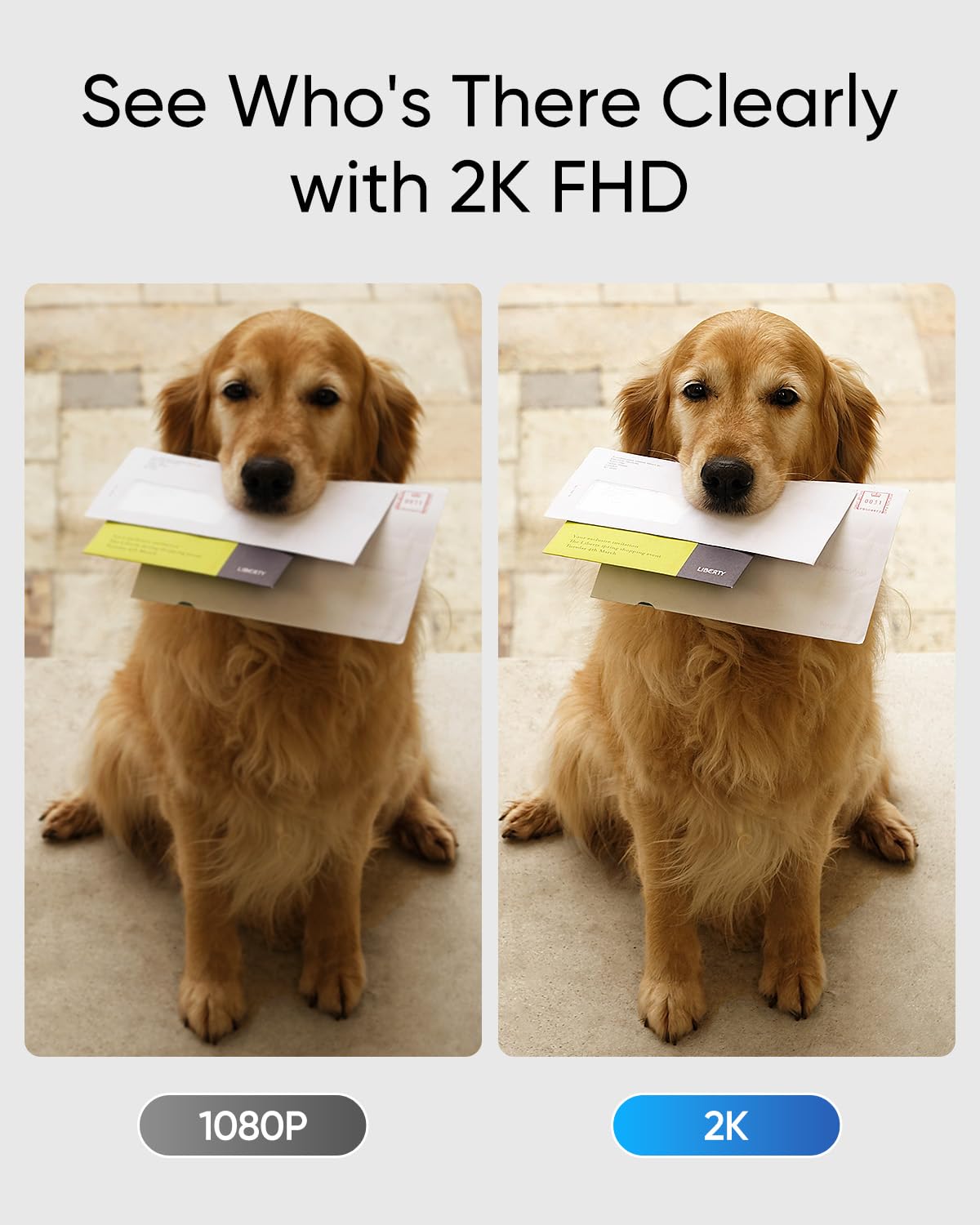 Eufy Security Video Doorbell C30, Battery Powered, 2K Fhd, 16:9 Expanded View, Easy Installation, Ring Call, Human And Motion De