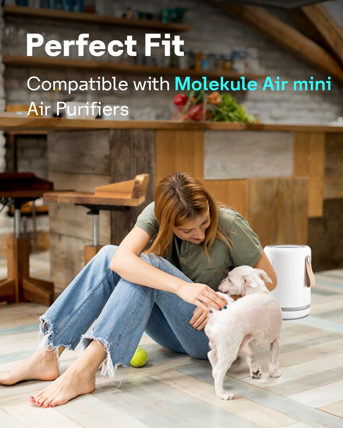Leemone H13 True Air Mini Filter Replacements Compatible With Molekule Air Mini & Air Mini + Air Purifiers, 3 In 1 High Efficien
