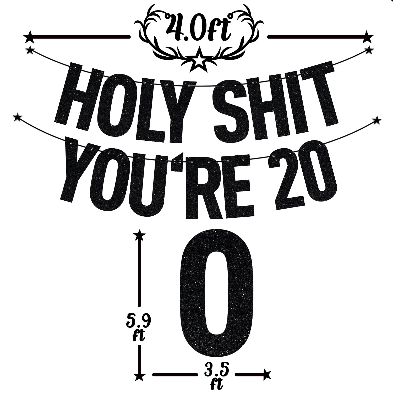 Black Glitter Holy Shit You'Re 20 Banner, Happy 20Th Birthday/Cheers To 20 Years, 20Th Birthday Party Decorations Supplies