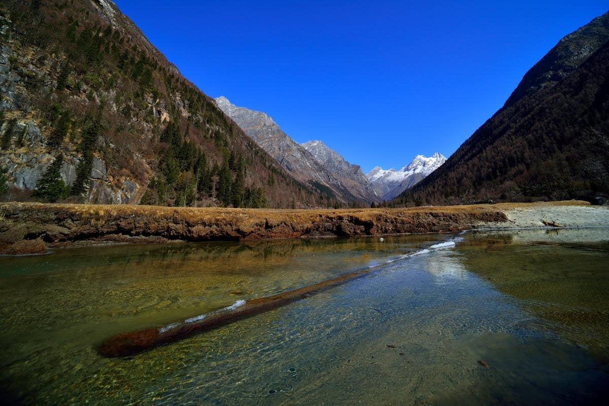 Venus Laowa 15Mm F/4 Wide Angle 1:1 Macro Lens With Shift For Nikon F Mount Black