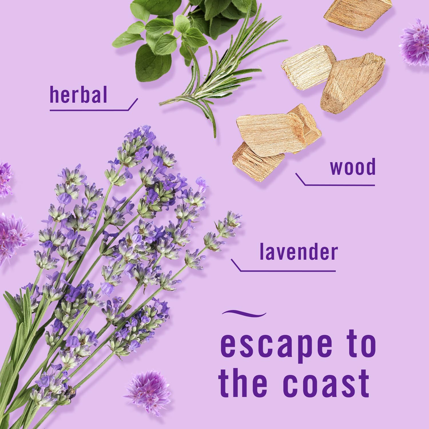 Febreze Plug In Air Fresheners, Mediterranean Lavender, Odor Eliminator For Strong Odors, Scented Oil Refill (3 Count)