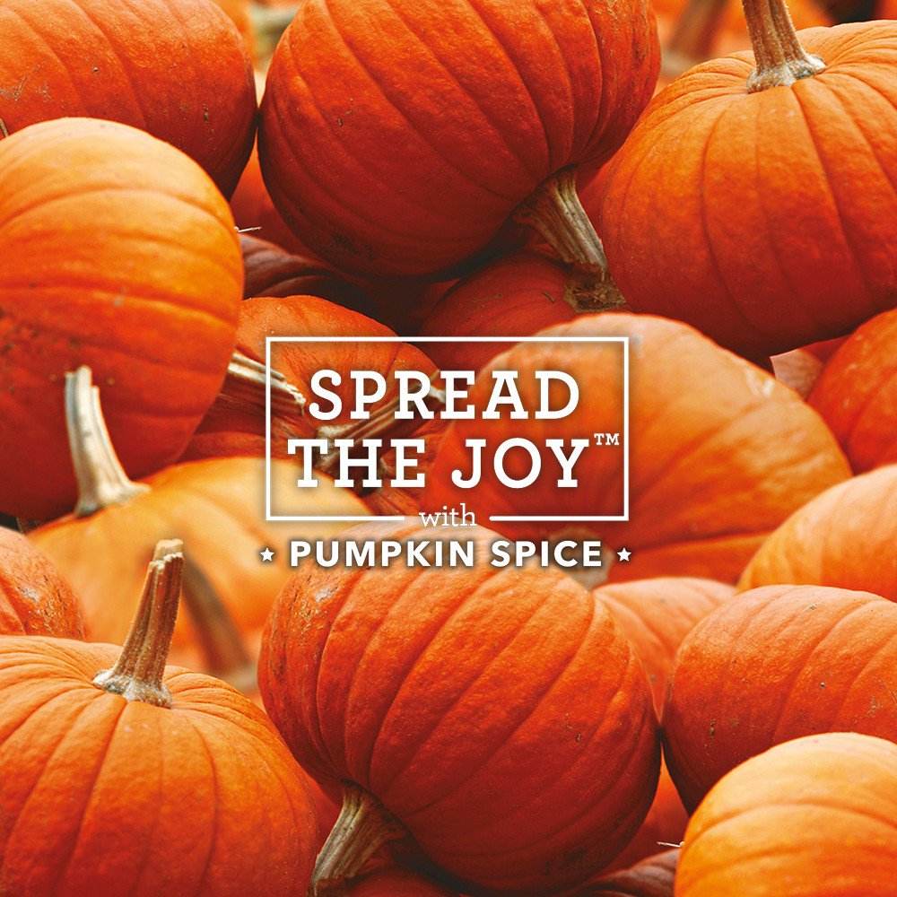 Air Wick Plug In Scented Oil Refill, 2Ct, Pumpkin Spice, Air Freshener, Essential Oils, Fall Scent, Fall D  Cor