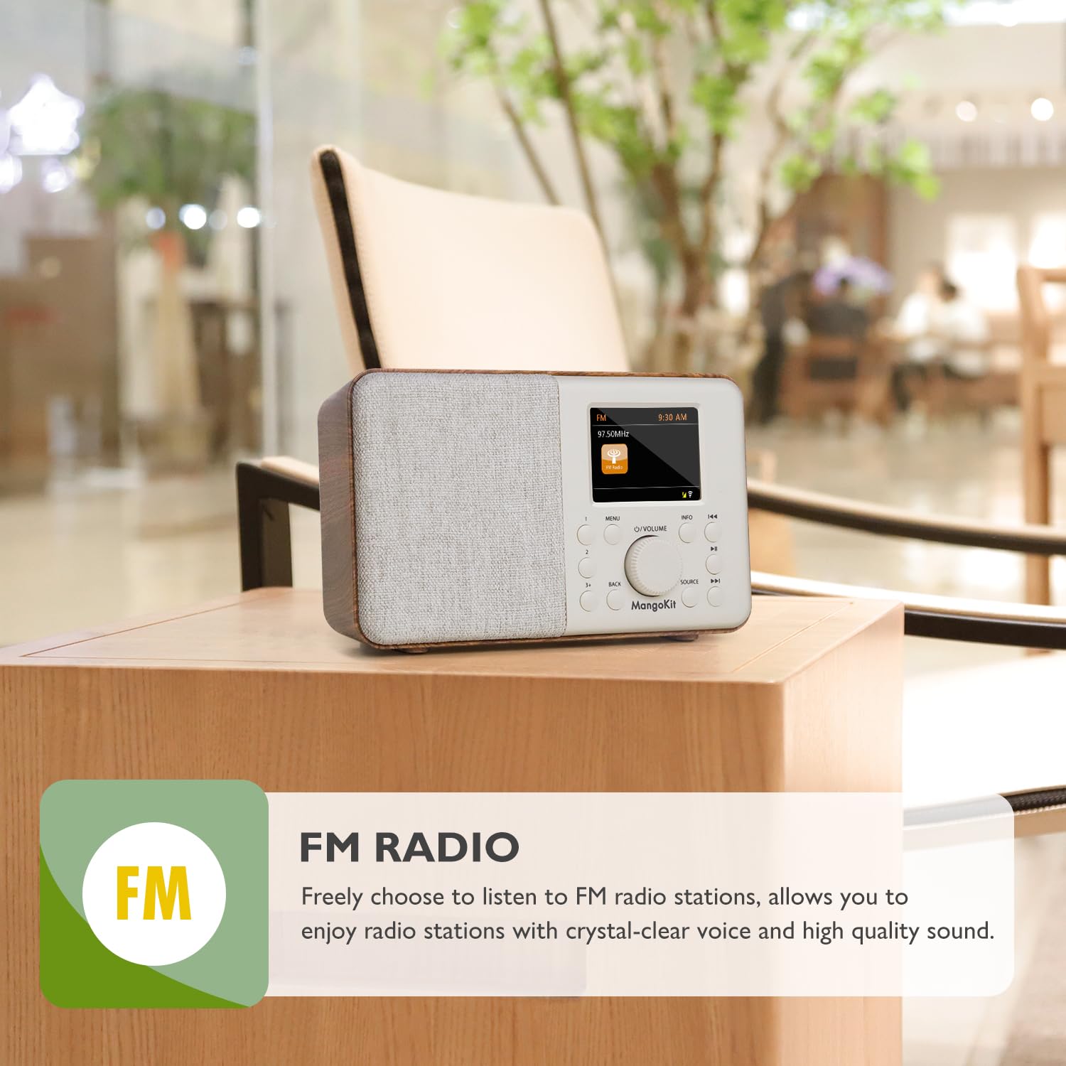 Mangokit Sr10 Internet Radio,Wifi Radio,Podcast Player, Bluetooth Speaker, Smart Radio, Portable Fm Radio, Mains And Battery Pow
