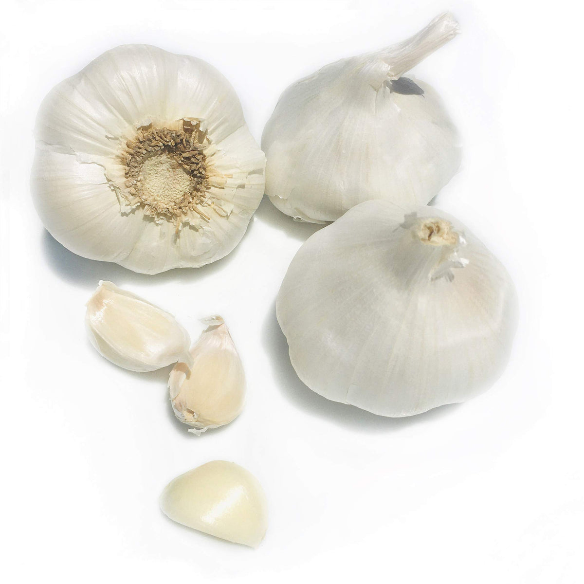 Kejora Fresh Garlic Bulbs   Qty : 5 Bulbs