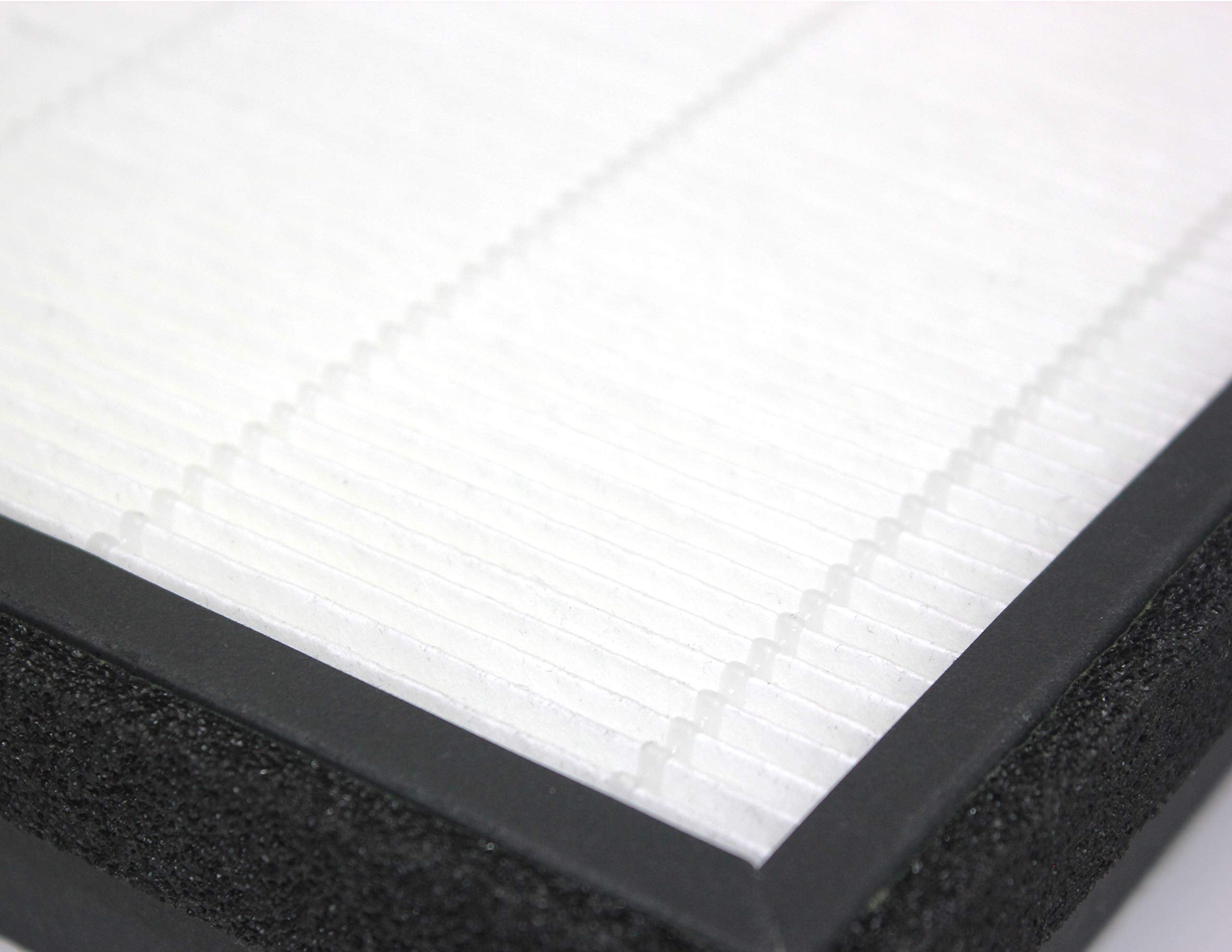 Fette Filter   Air Purifier True Hepa Filter F Compatible With Holmes Hap769. Compare To Part # Hapf700 (2 Pack)