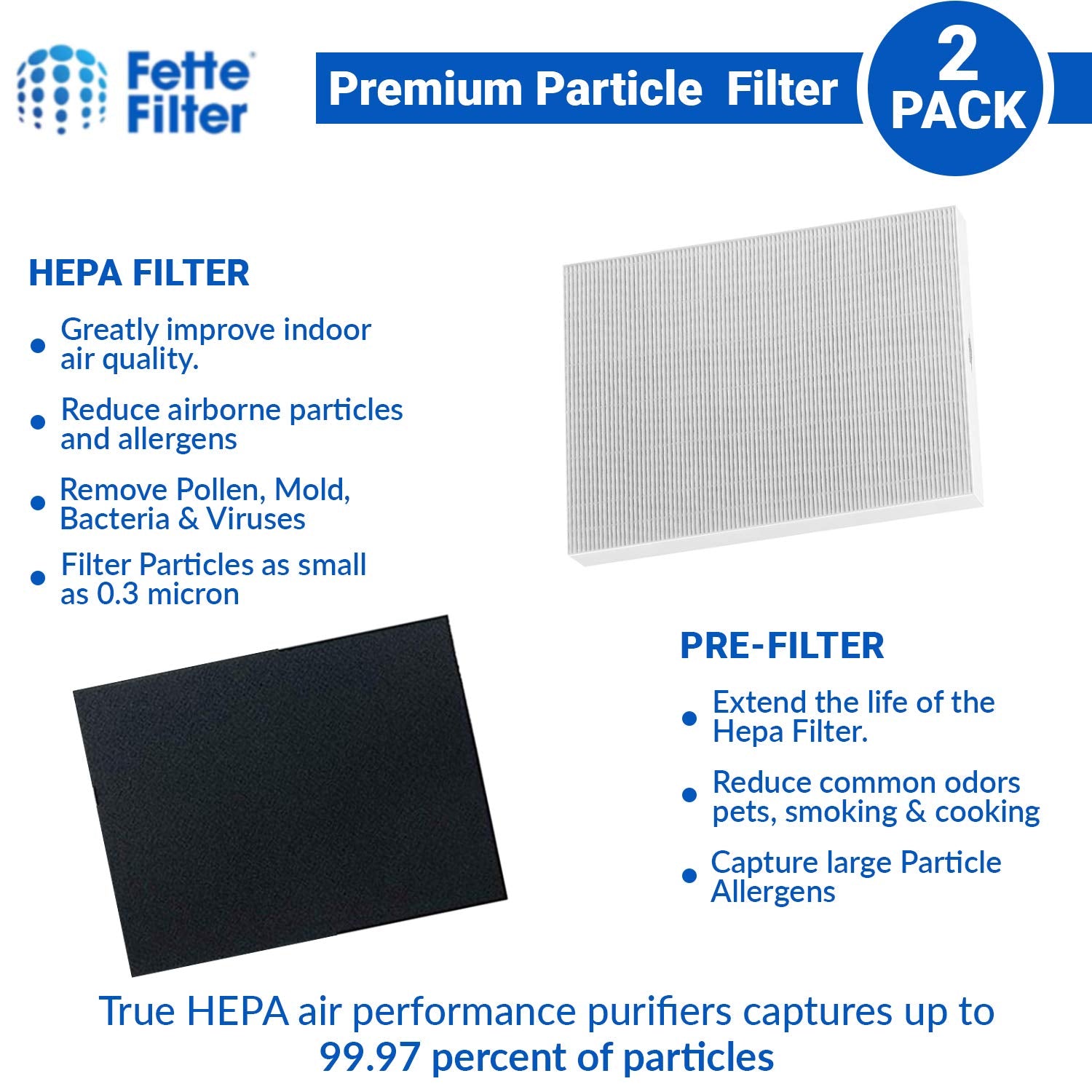 Fette Filter  Premium True Hepa H13 Filter Replacement Compatible With Fellowes Aeramax 190/200/Dx55 Air Cleaner Purifiers Part