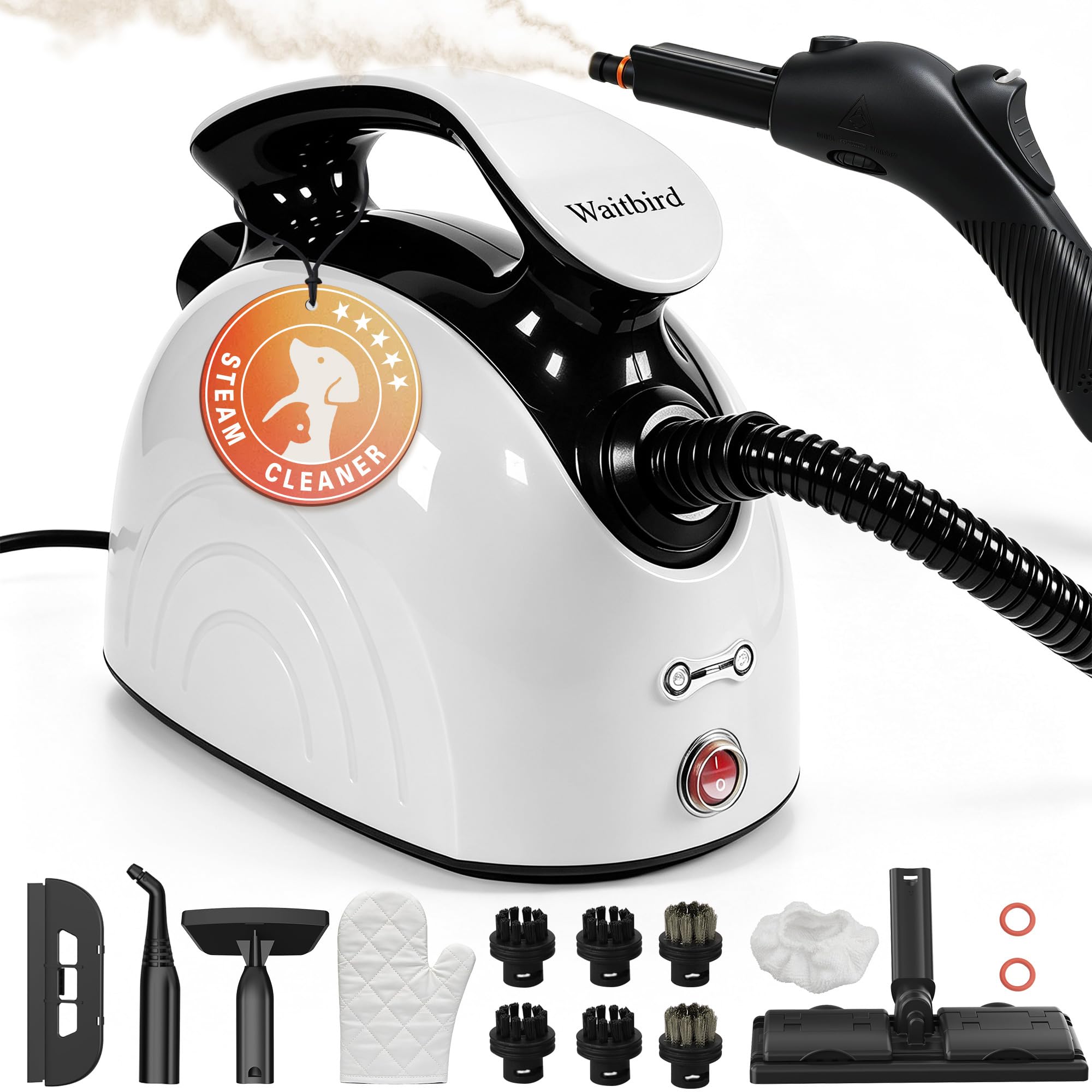 Waitbird 4.5 Bar 300F Steam Cleaner for Bathroom, Kitchen, Floor & Grout