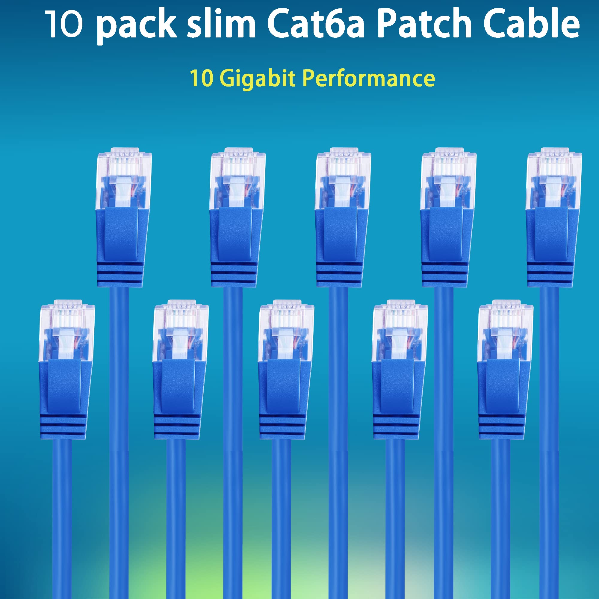 Rapink Cat6A 2Ft Ethernet Patch Cables (10 Pack), Slim, Flexible, 10G Support, Gold Plated, Cat6A Ethernet Cable For Patch Panel To Switch, Space Saving, High Density Environments