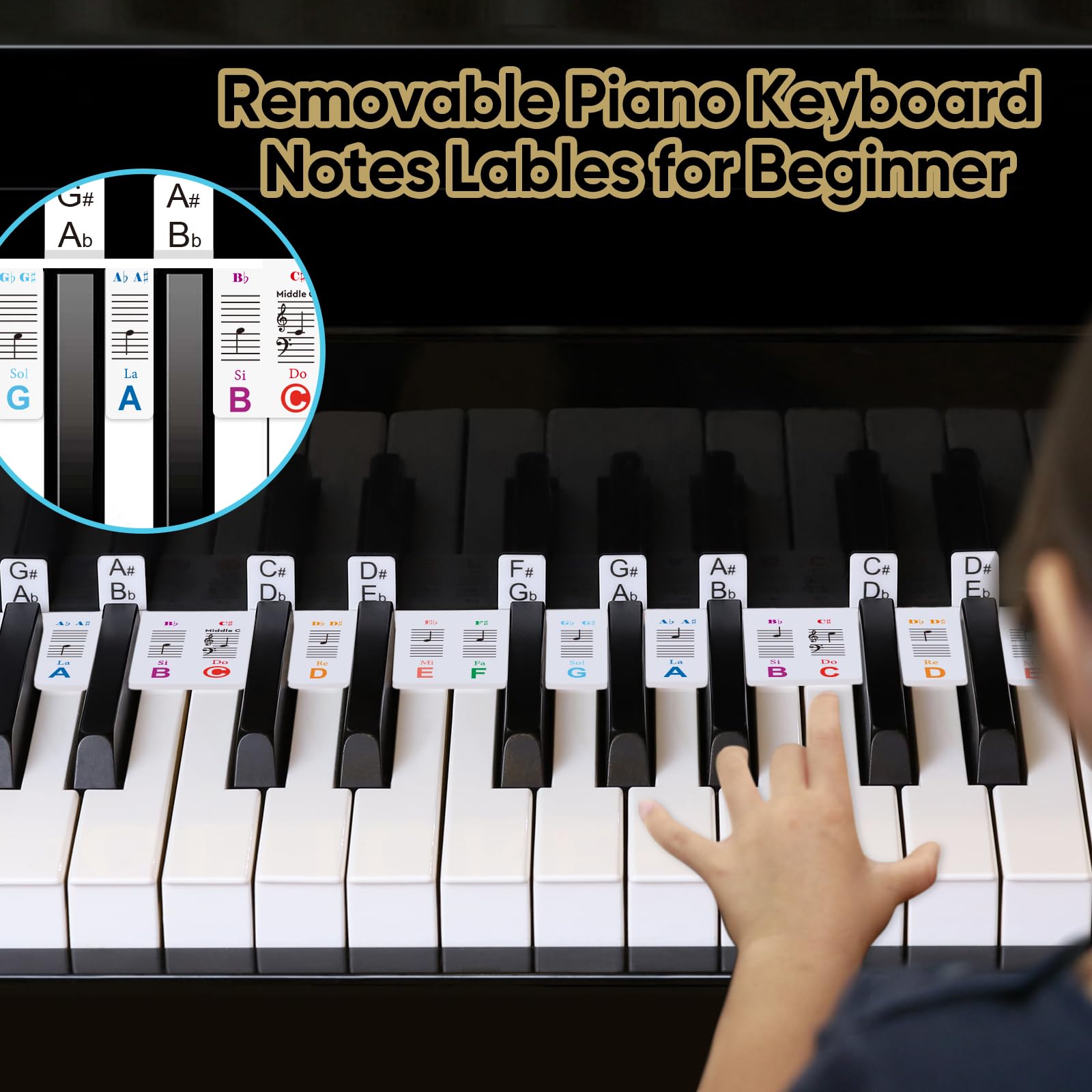 Removable Piano Keyboard Notes Labels,Piano Keyboard Stickers,Bold Large Letter Stickers For Beginner 88/76/61/54/49/37 Key,Made