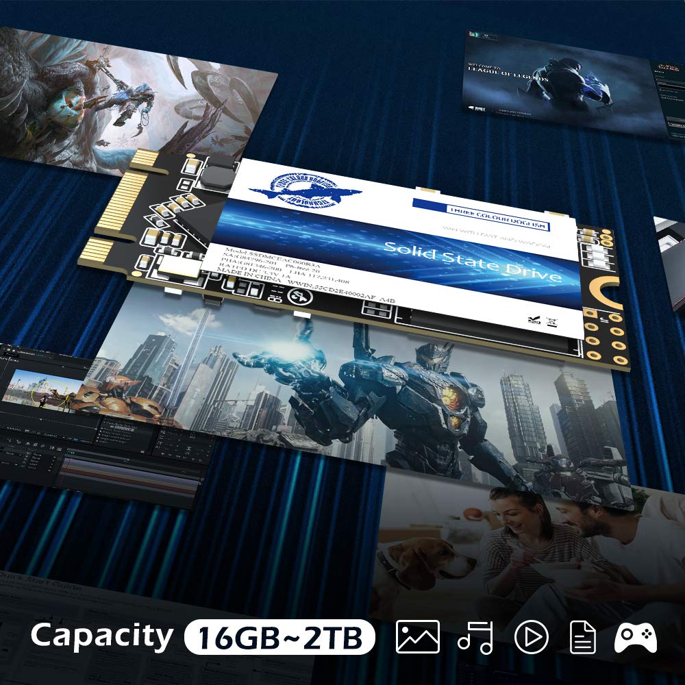 Dogfish Ssd Sata M.2 2242 250Gb Ngff Internal Solid State Drive High Performance Hard Drive Desktop Laptop Sata Iii 6Gb/S (M.2 2242, 250Gb)