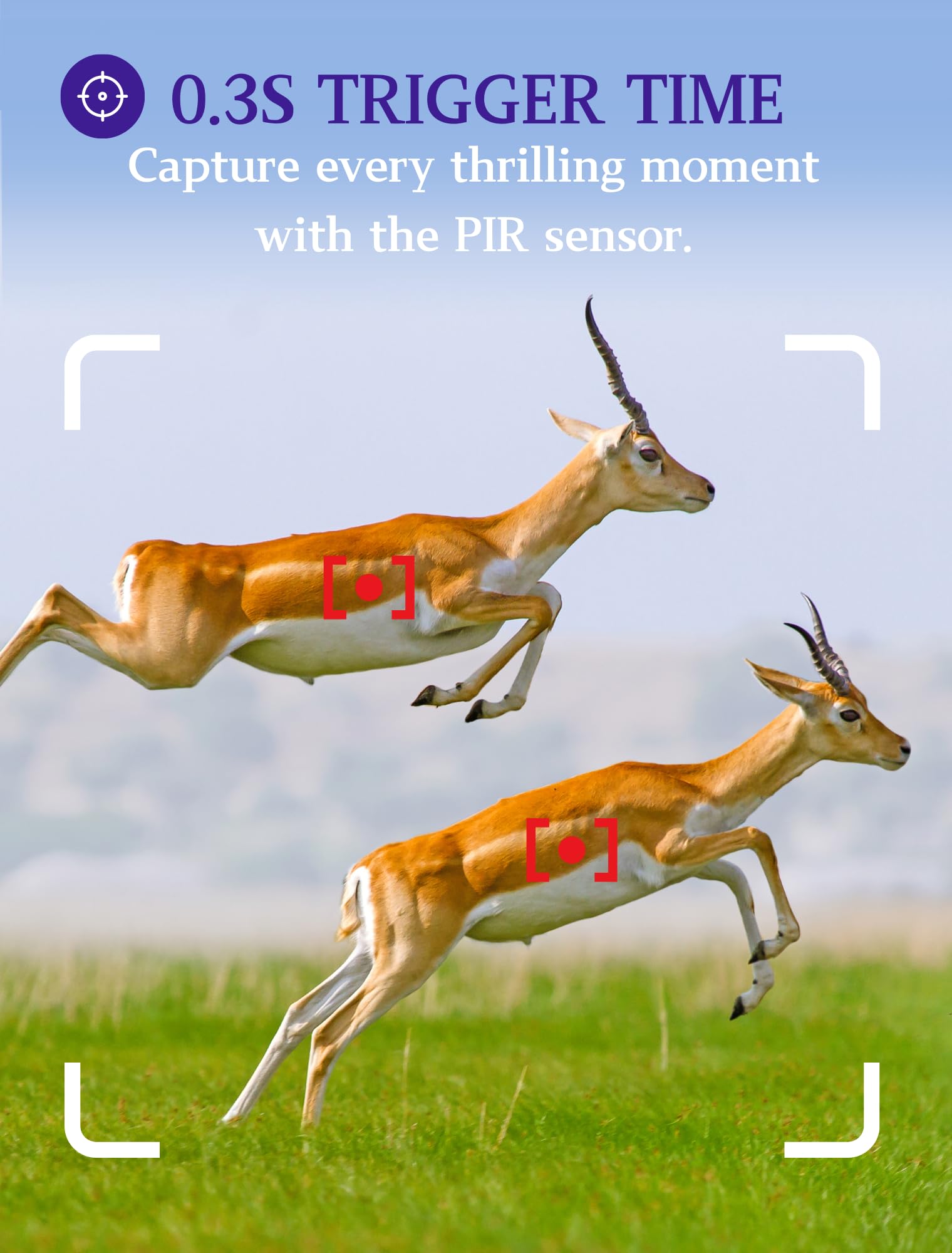 5-Pack Game & Trail Cameras 32Mp 1296P 75Ft Night Vision Time Lapse Wildlife Deer Hunting Cams No Glow Infrared Motion Activated