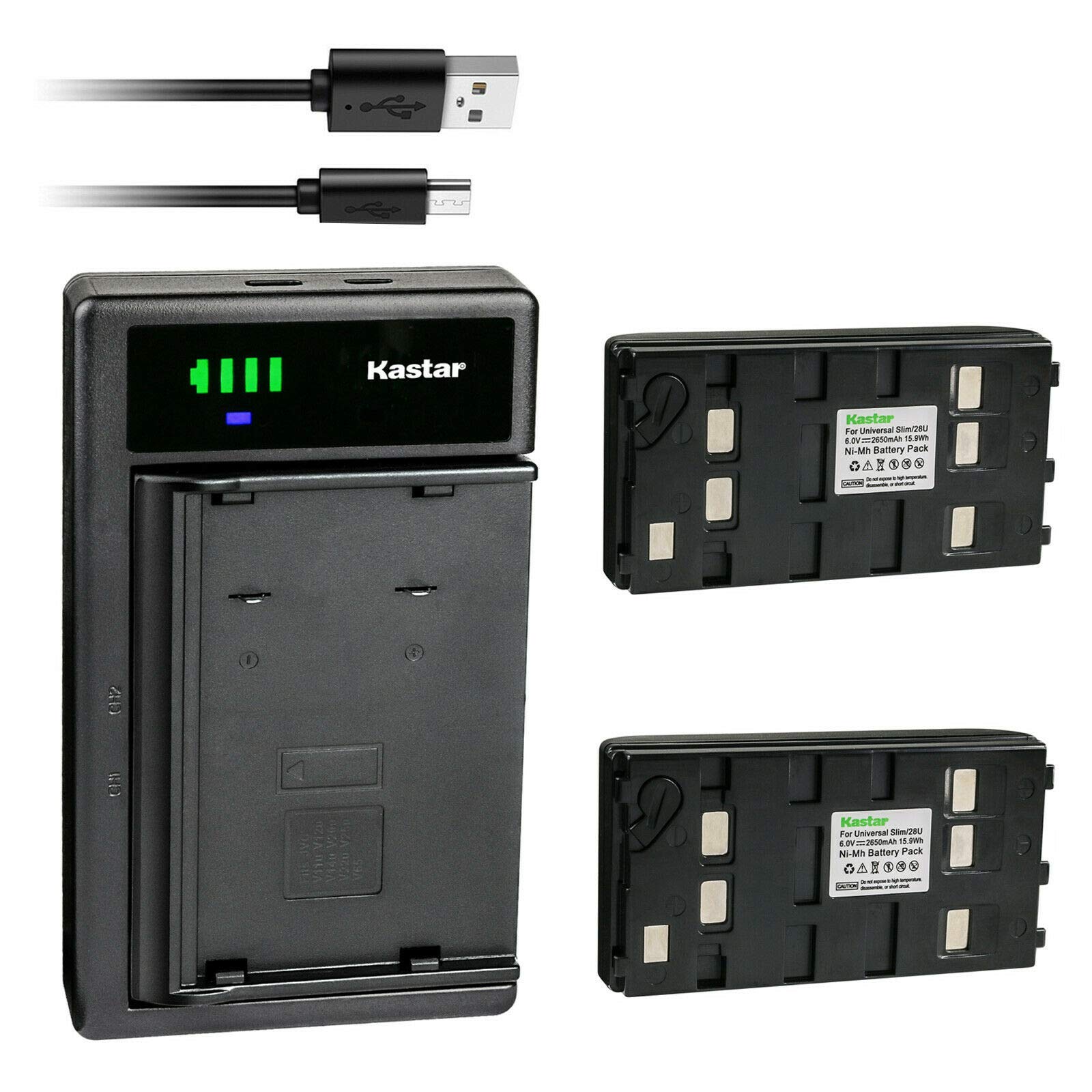 Kastar 2-Pack Battery and Smart USB Charger Compatible with Panasonic PV-IQ505 PV-IQ525 PV-L352 PV-L353 PV-L354 PV-L453 PV-L552 