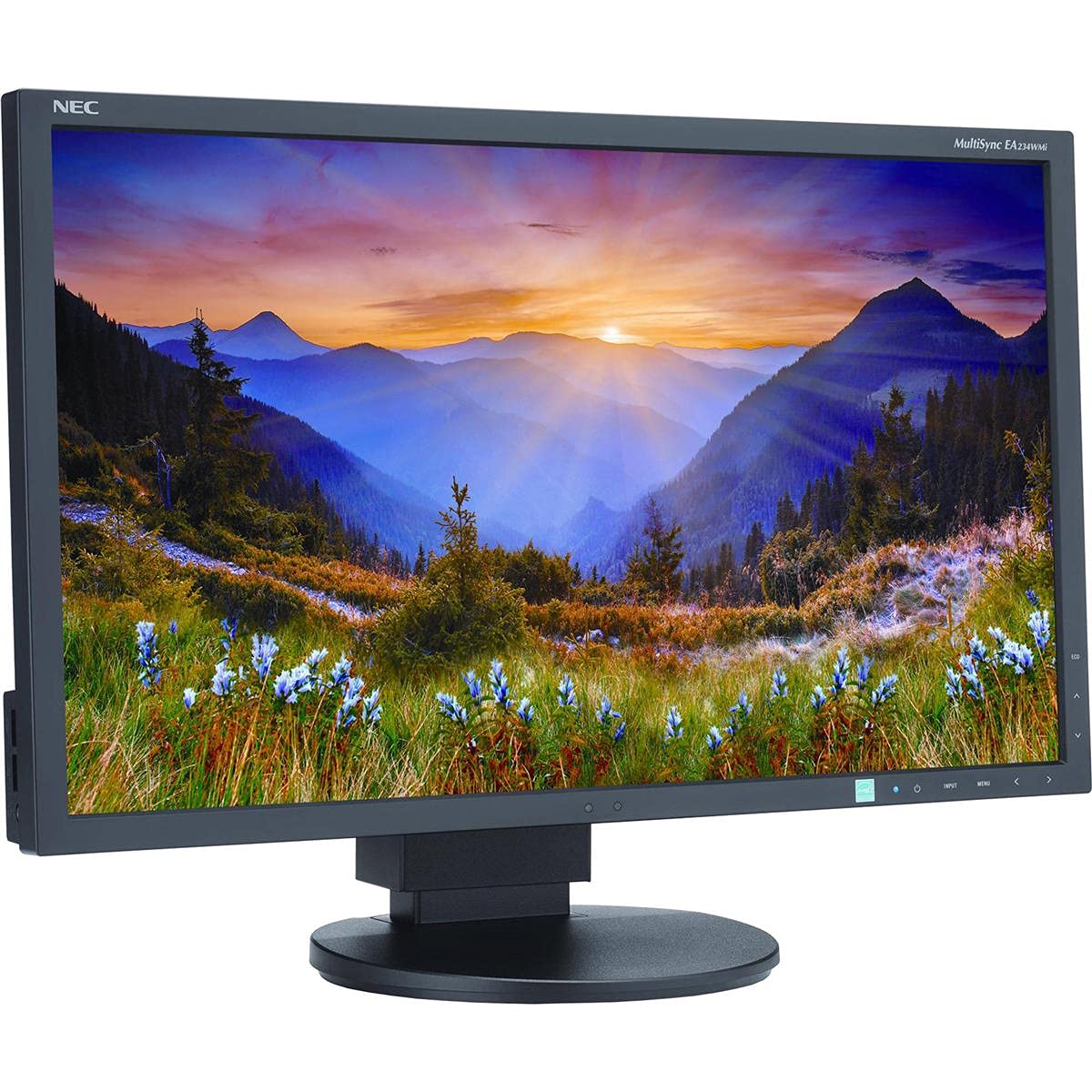 Nec Ea234Wmi Bk 23 Inch Screen Led Lit Monitor,Black