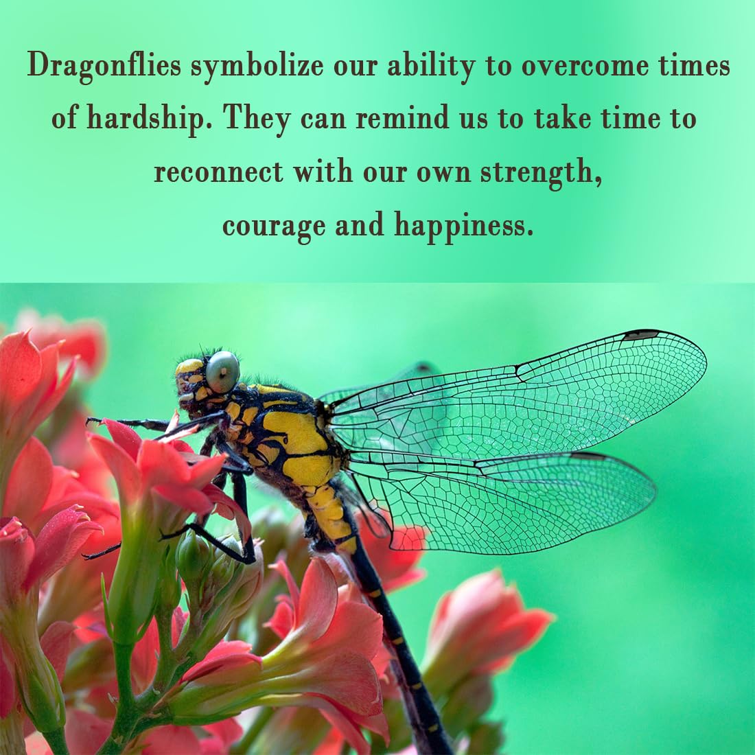 Sunoreek Green Dragonfly Silver Watch Band Charms For Apple , Gold Watch Band Charms For Women, Cute Cartoon Decorative Rings Lo