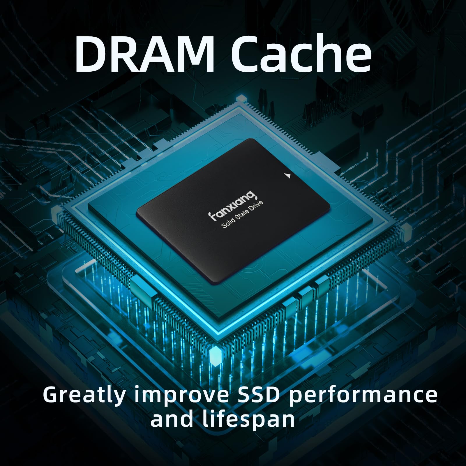 Fanxiang S109 2.5'' Sata Ssd 1Tb With Dram Cache, Up To 560Mb/S, Continuous Writing Without Slowing Down, 3D Nand Tlc, Internal