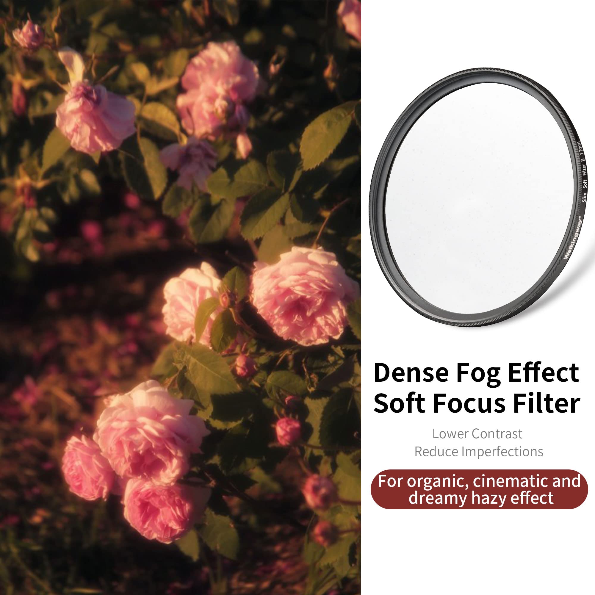 Walking Way 49Mm White Pro Mist Diffusion Filter Soft Focus Filter Dreamy Fog Effect Circular Lens Filter Softening Diffuser For