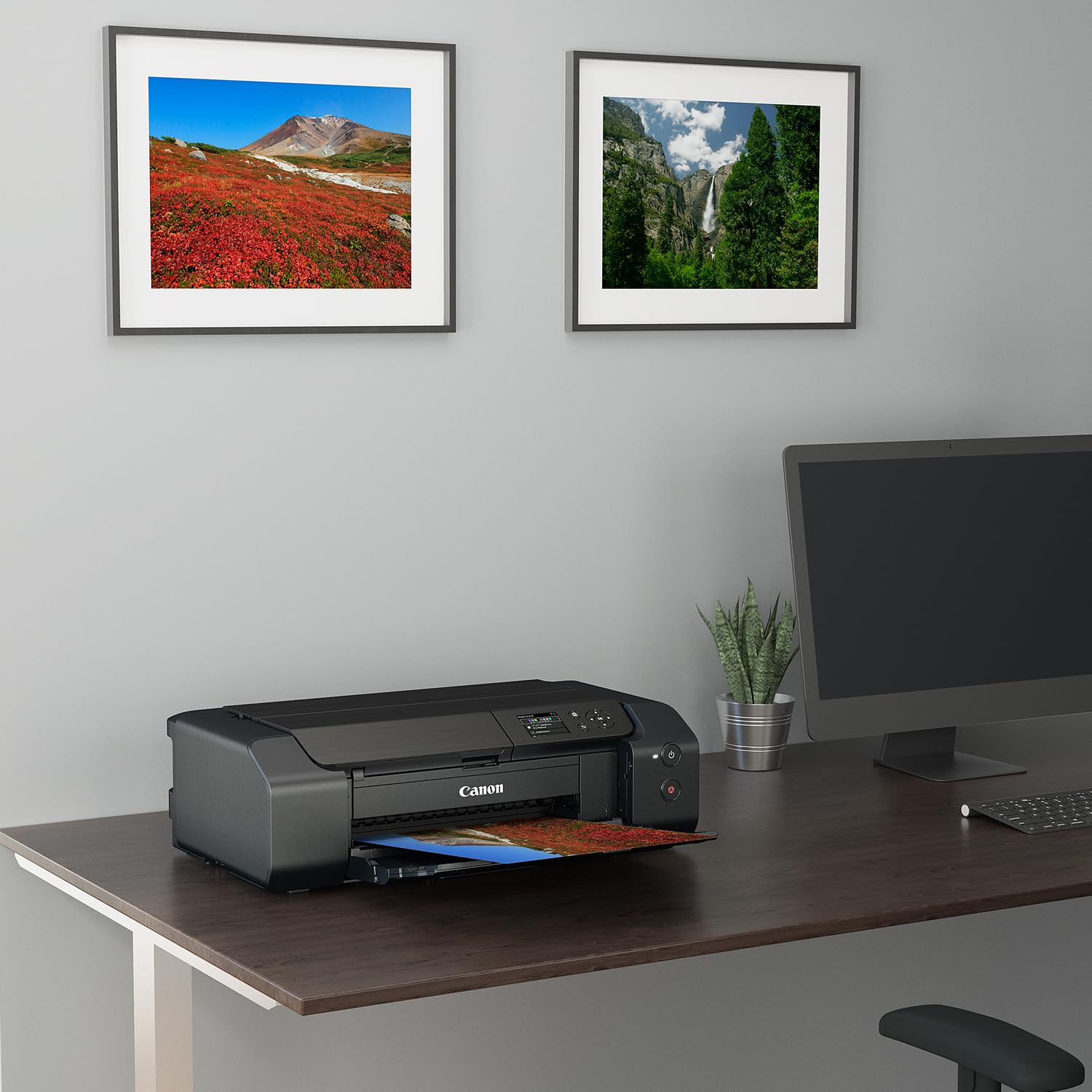 Canon Pixma Pro-200 Wireless Professional Inkjet Photo Printer