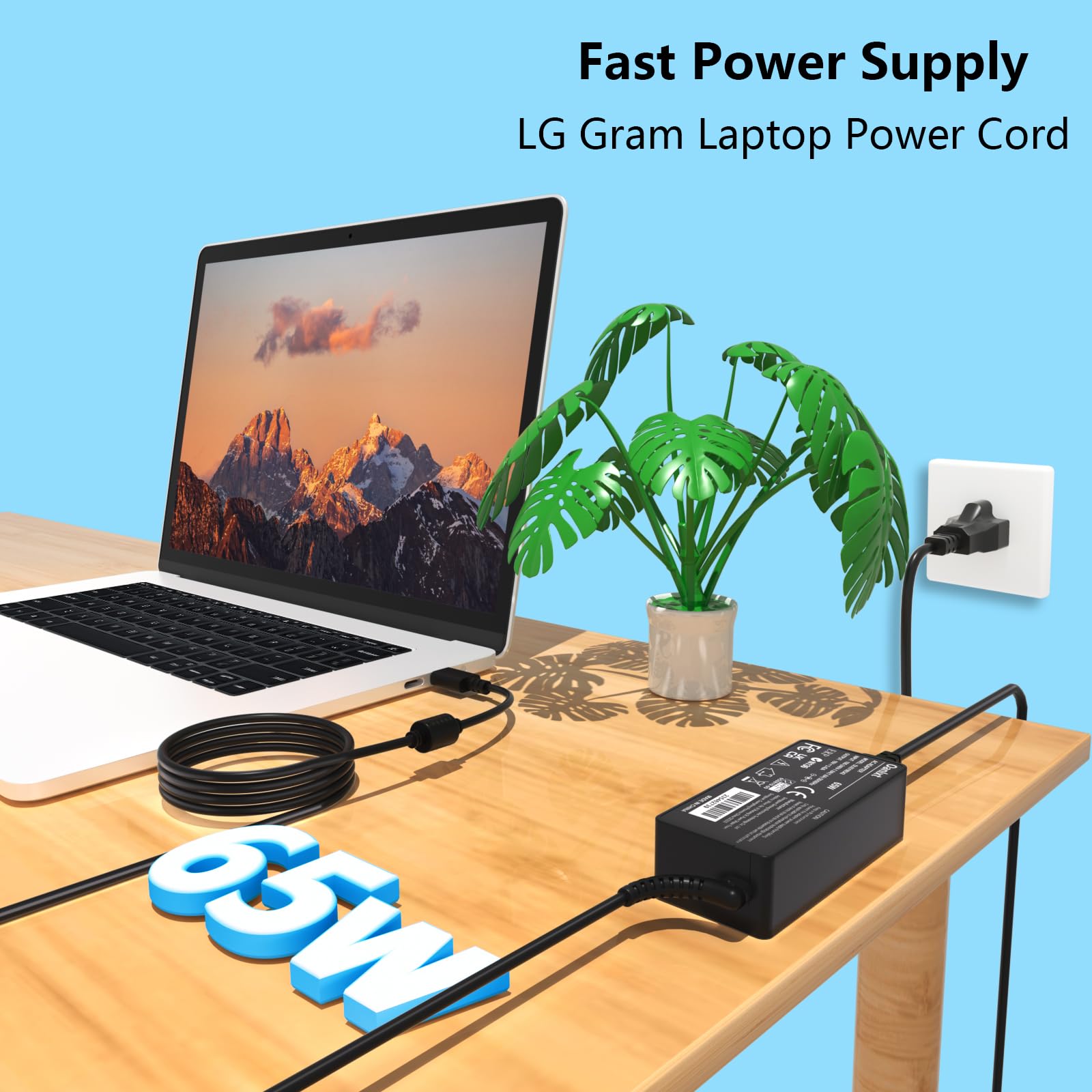 Oanlxt 20V 3.25A 65W Usb C Charger For Lg Gram 14'' 15'' 16'' 17'' Series Laptop Fit For Lg Gram 14Z90P 14Z90Q 15Z90P 15Z95P 16Z