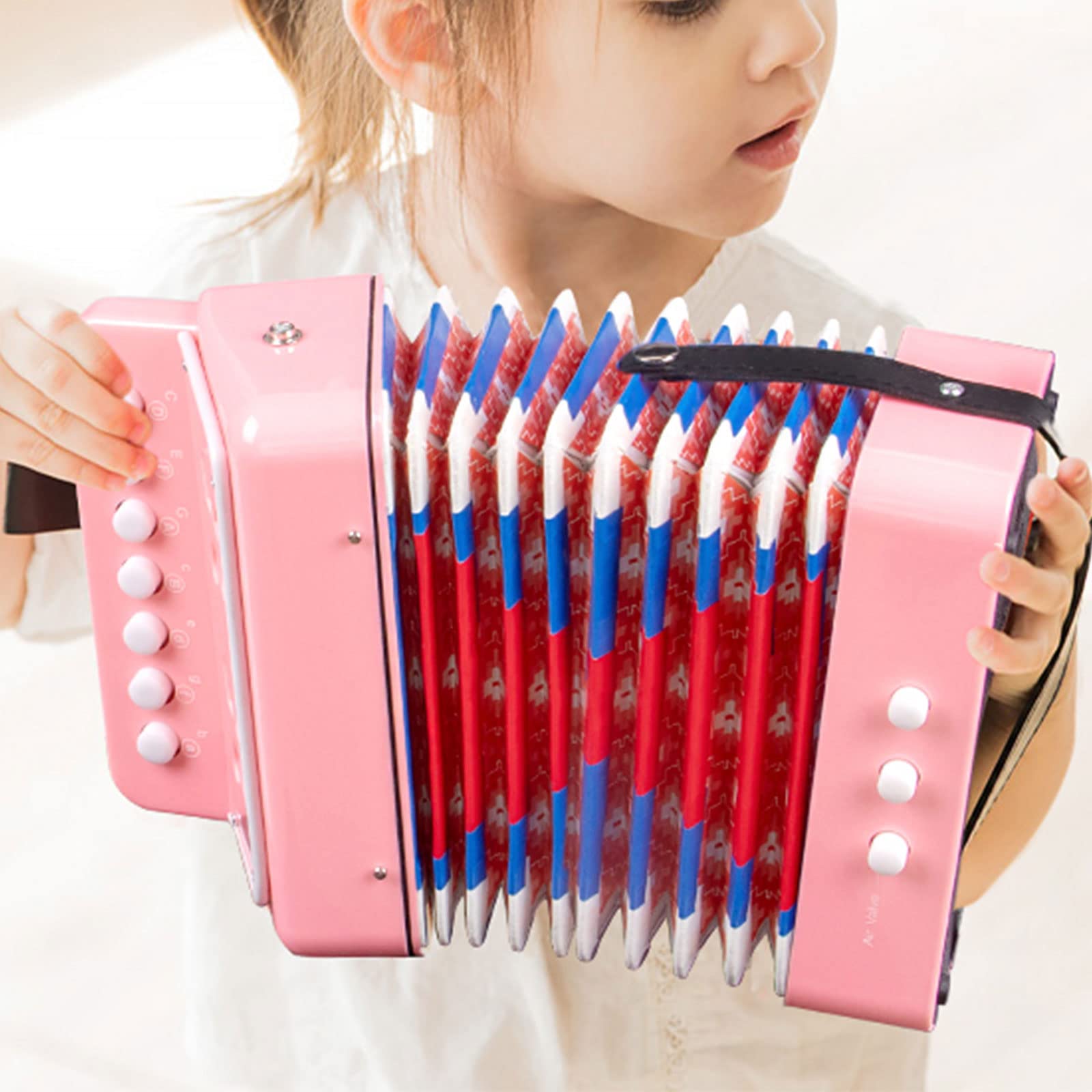 Kids Accordion, 10 Keys Control Button Accordion Musical Instruments For Kids Children Beginners Lightweight And Environmentally