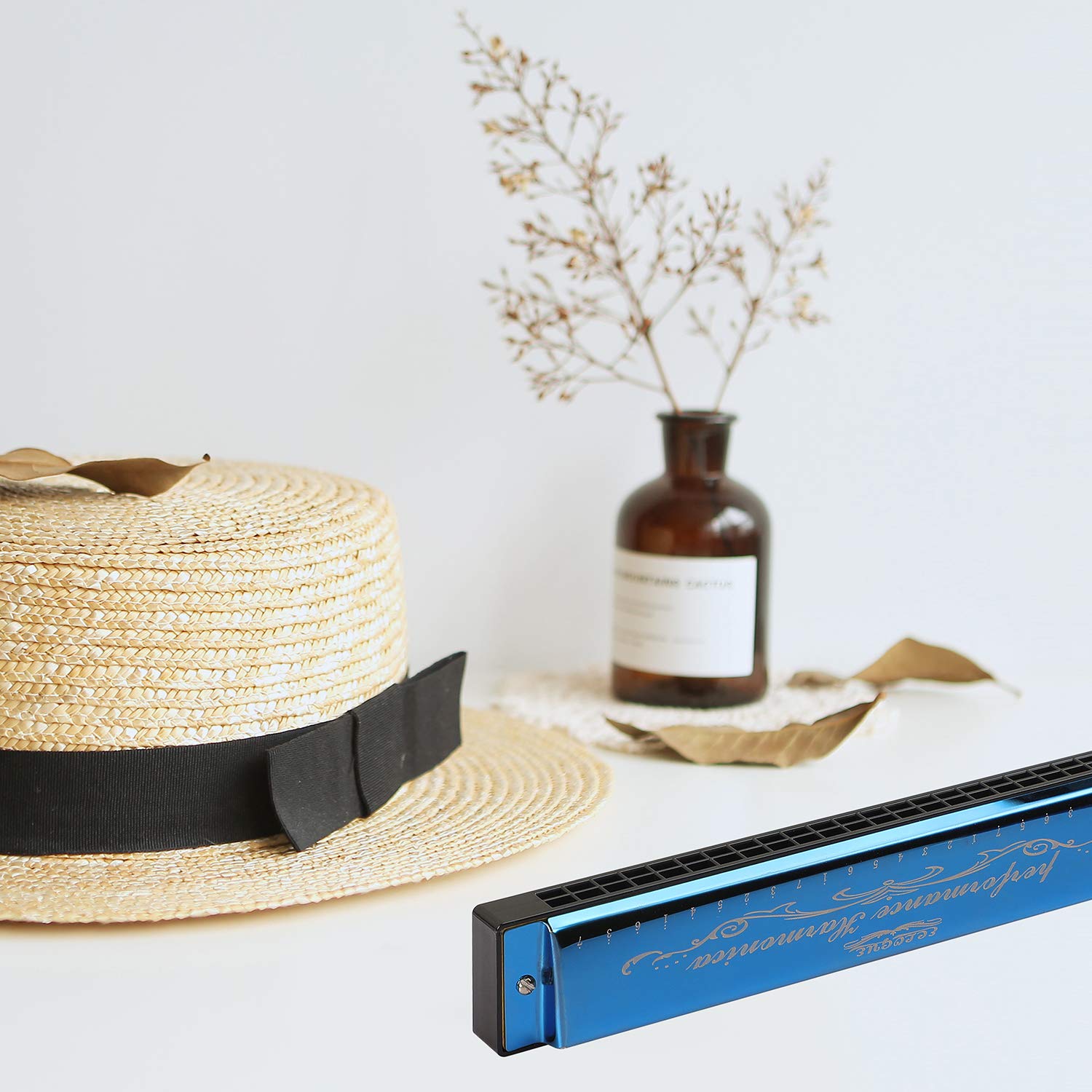 Harmonica Mouthorgan Harp Armonica 24 Hole Polyphony Diatonic Mouth Organ Key Of C With Case For Blues Folk Jazz Pop Music Instr