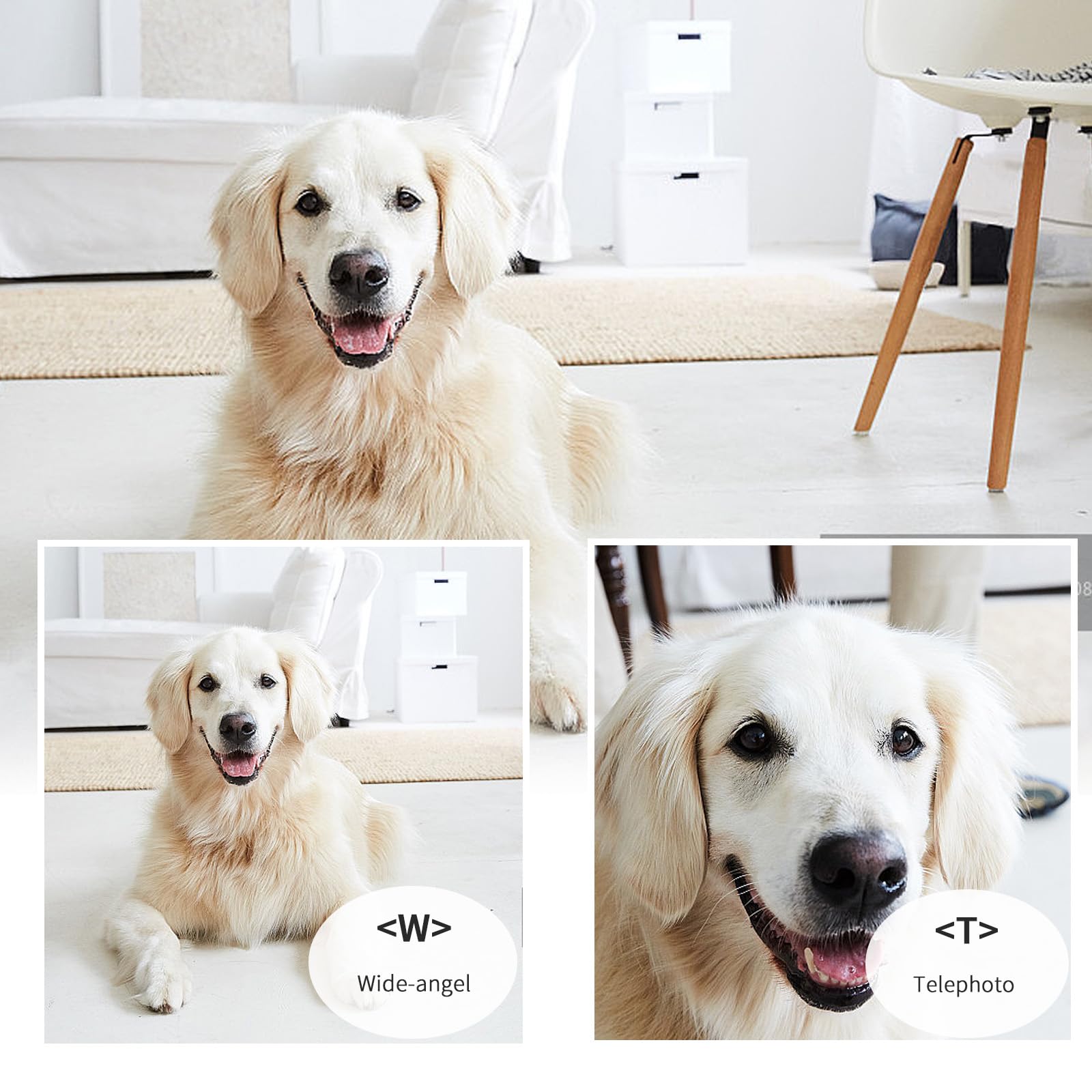 Camcorder Remote Control Zoom Controller Compatible With Lanc Or Remote Jack (2.5 Mm) For Canon Xa50 Xa55 Xa40 Xf405 G60 G50 G40