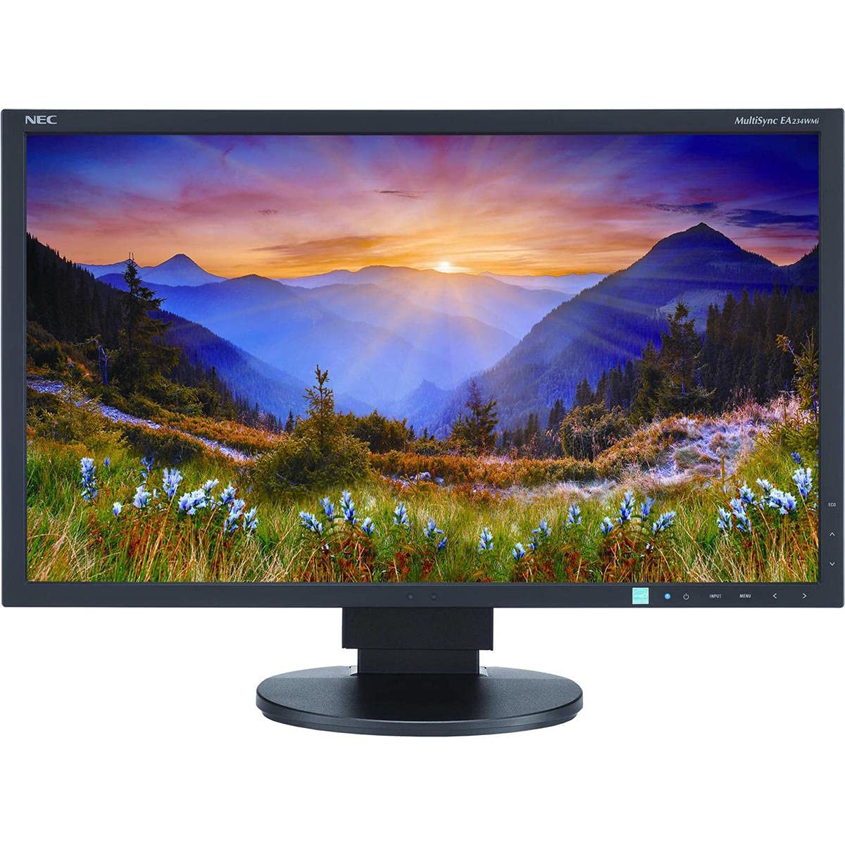 Nec Ea234Wmi Bk 23 Inch Screen Led Lit Monitor,Black