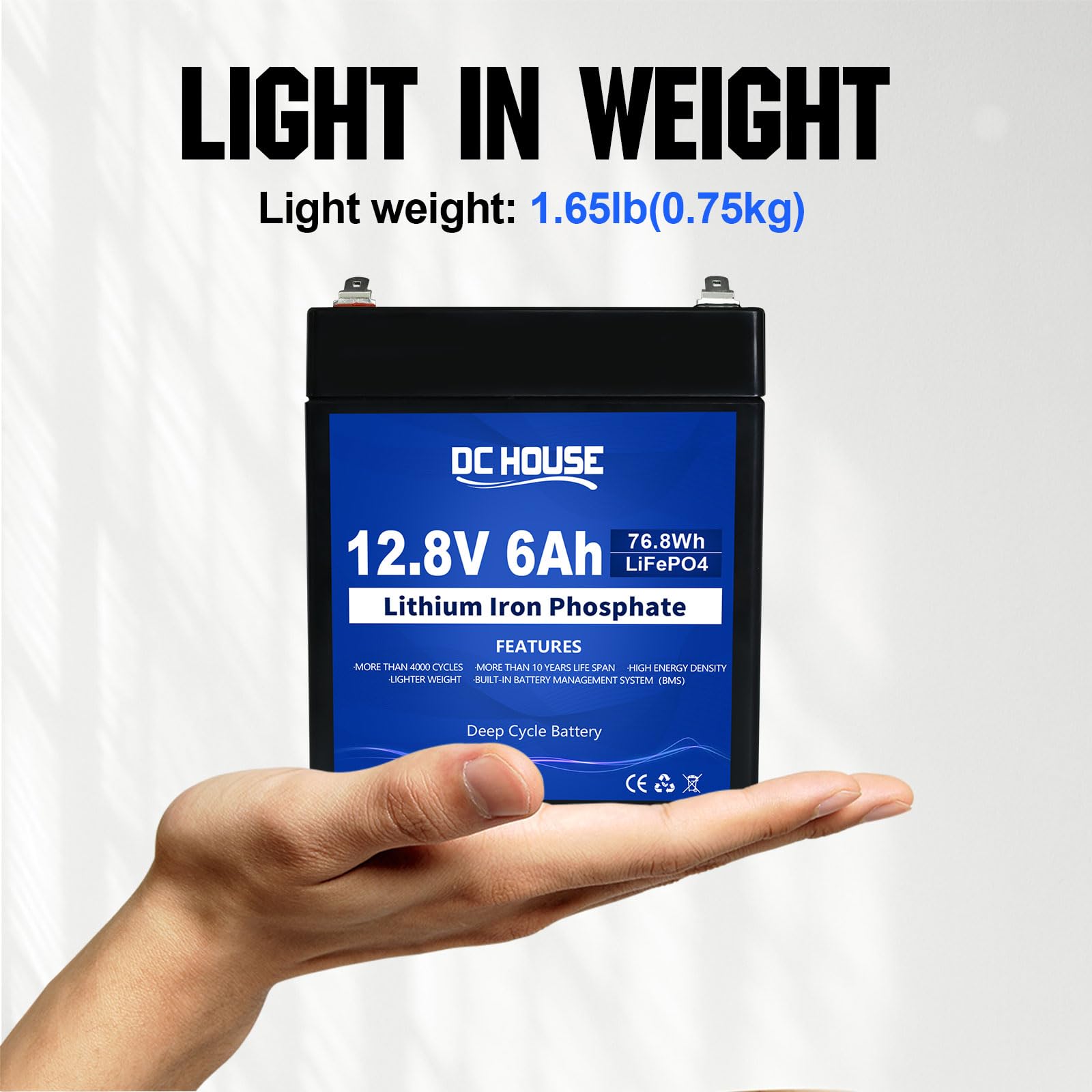 Dc House 12V 6Ah Mini Lithium Lifepo4 Deep Cycle Battery, 3000+ Cycles Lithium Iron Phosphate Rechargeable Battery For Ups, Ligh