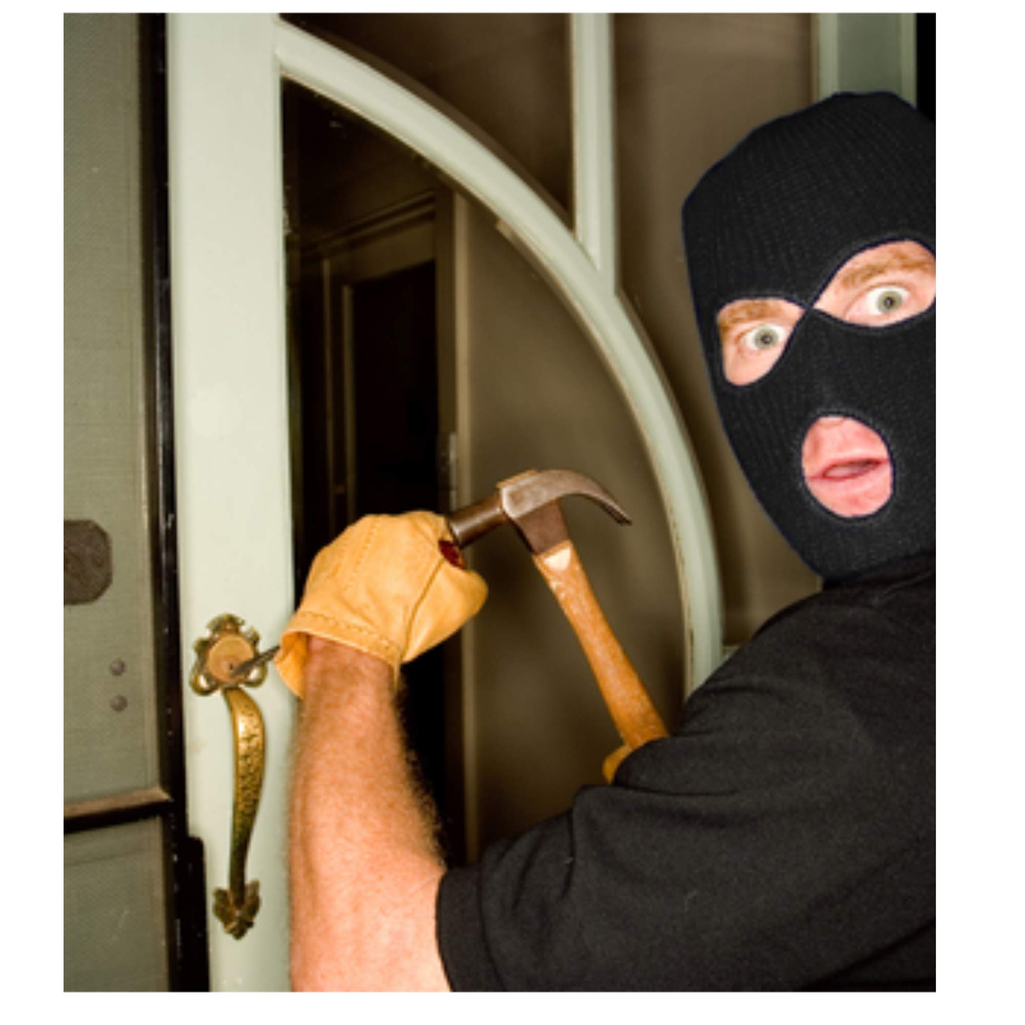 8 Propertyguard Home Security Alarm Stickers For Windows & Doors Uv Coated And 1 Cctv Warning Decal