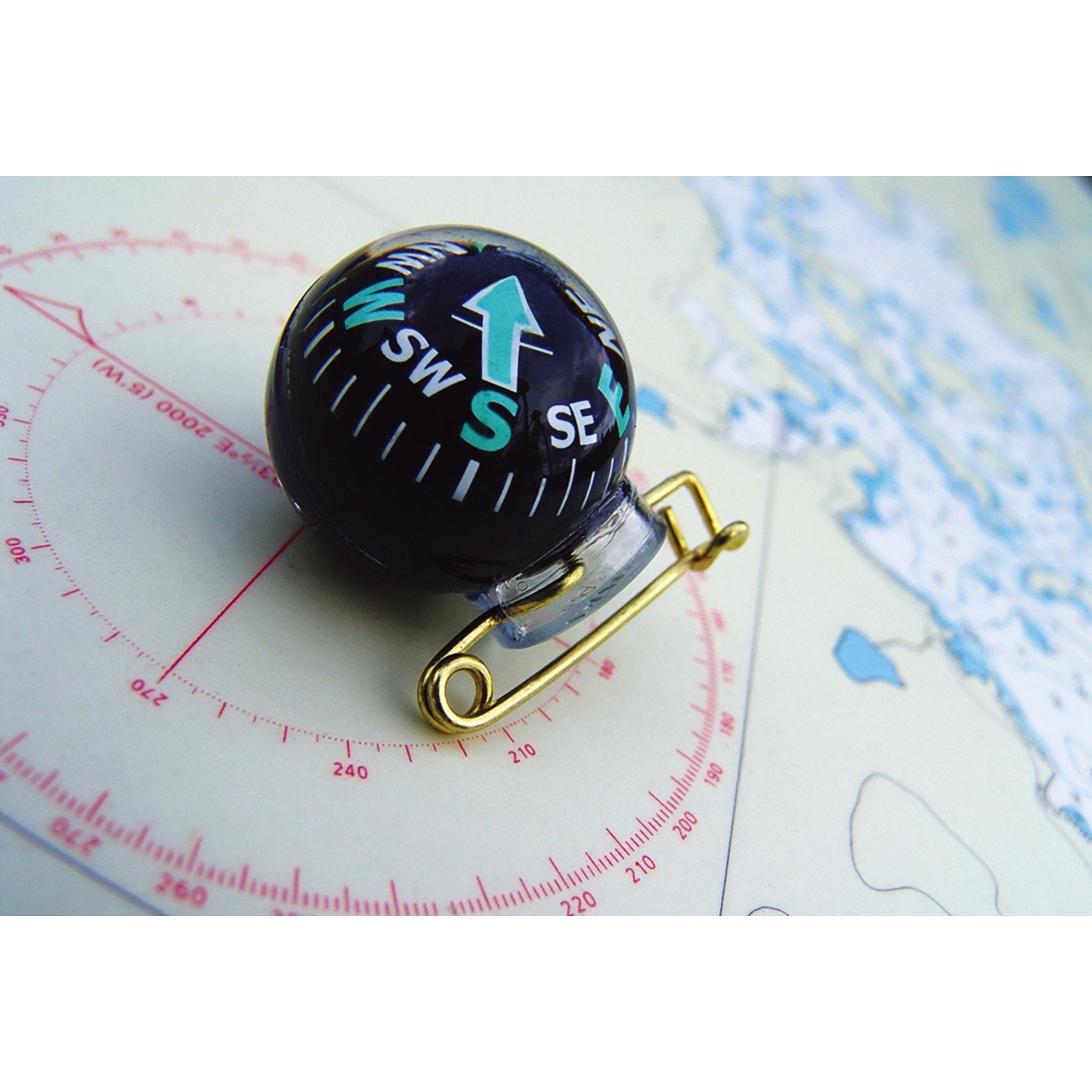 Coghlan'S Pin On Compass