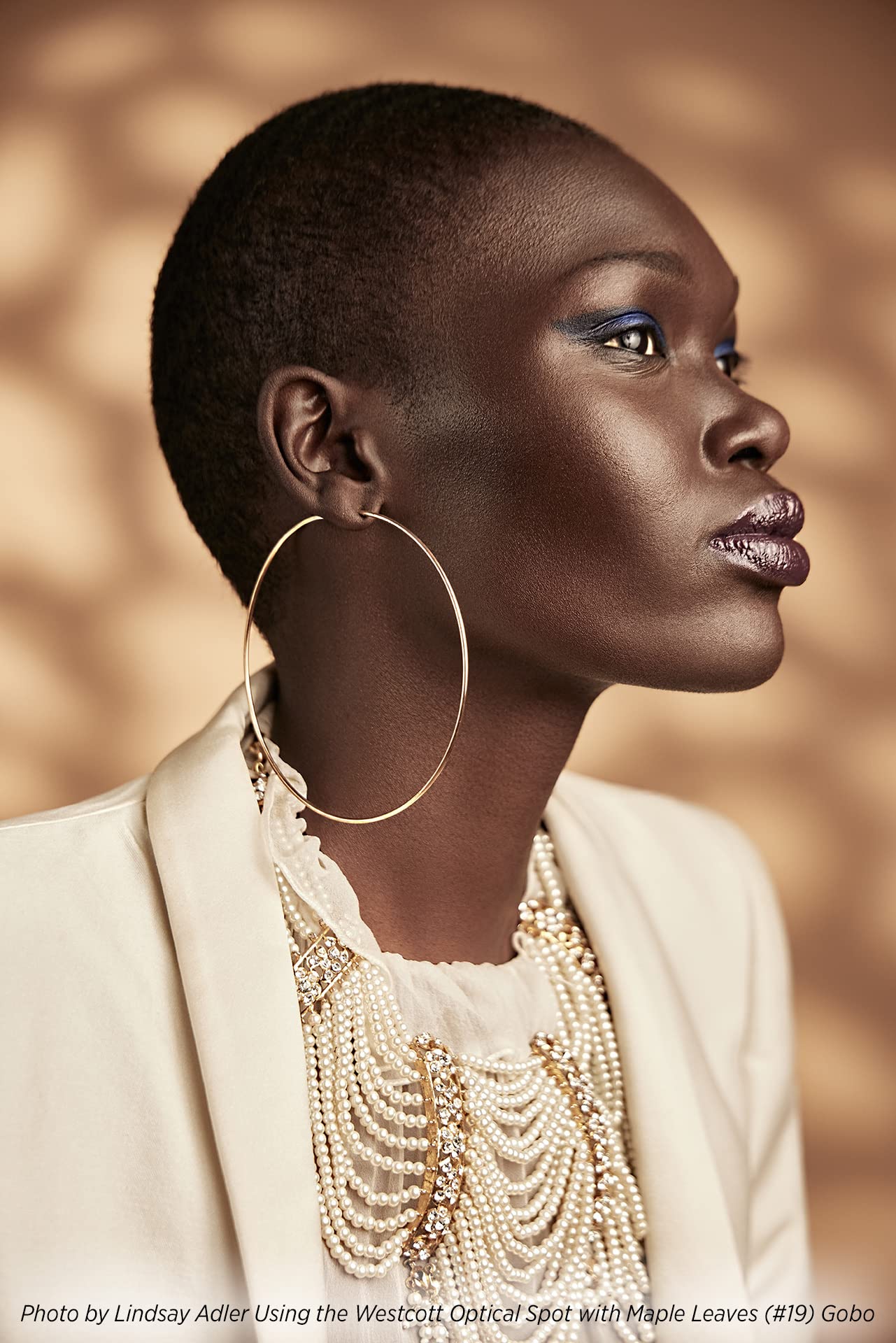 Westcott Gobo Pack: Environmental Designs (10 Pack) For Use With Optical Spot By Lindsay Adler