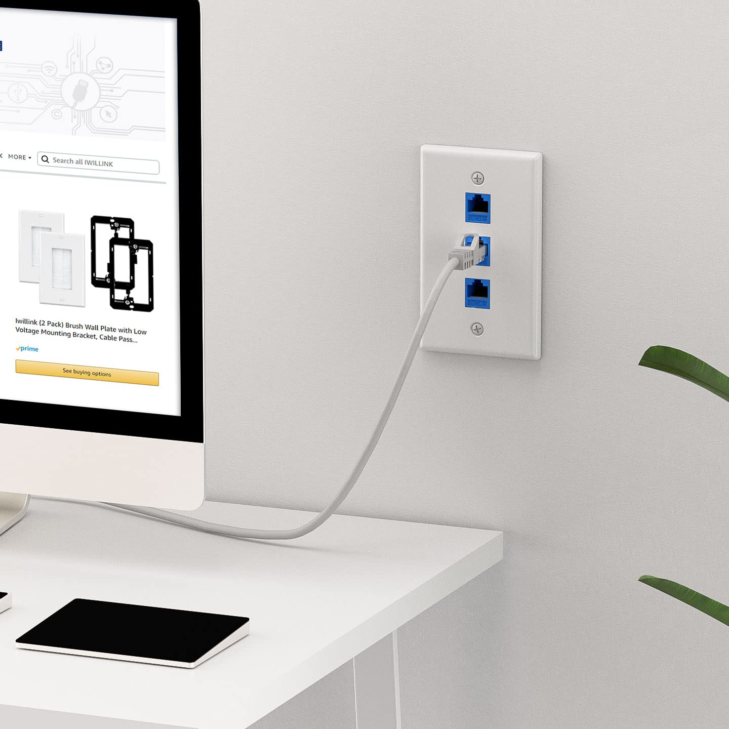 Iwillink (1 Pack) 3 Port Ethernet Wall Plate, Keystone Jack Wall Plate With Rj45 Keystone Inline Coupler Insert, Female To Femal