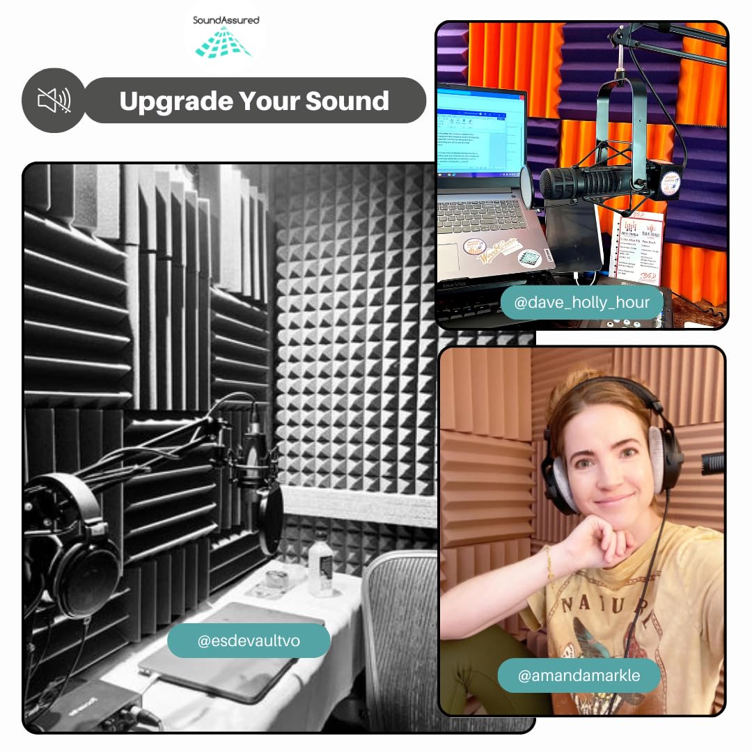 Professional Acoustic Foam Panels   Wedge Style 12X12X2    Tiles   4 Pack   Studio Foam For Sound Dampening   Soundproofing Foam