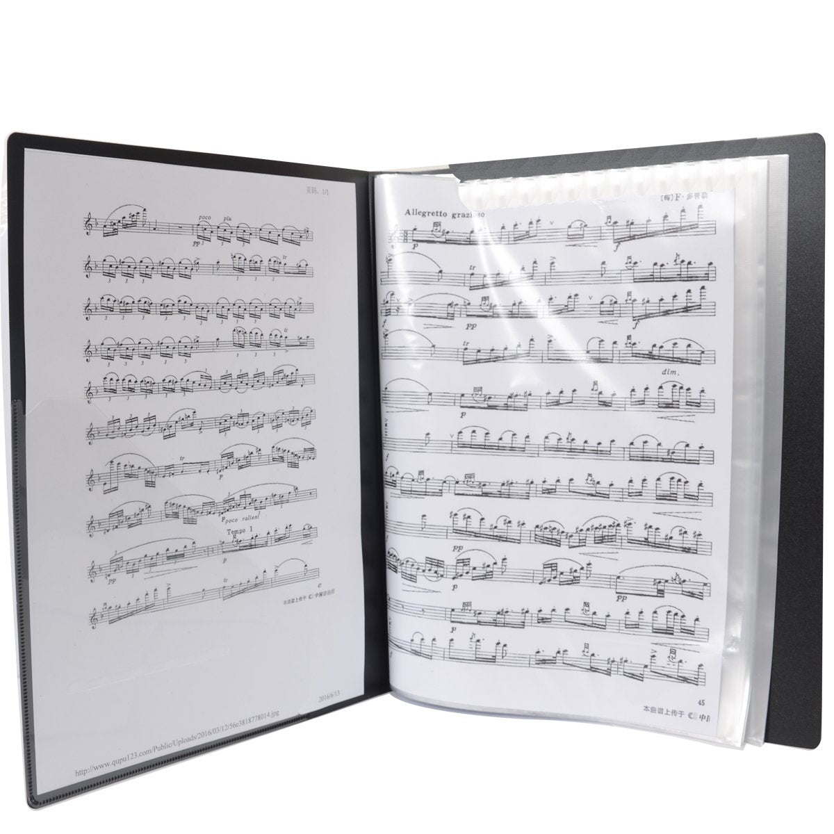 Wogod Music Sheet File Paper Documents Storage Folder Holder Plastic.A4 Size,40 Pockets (Black)