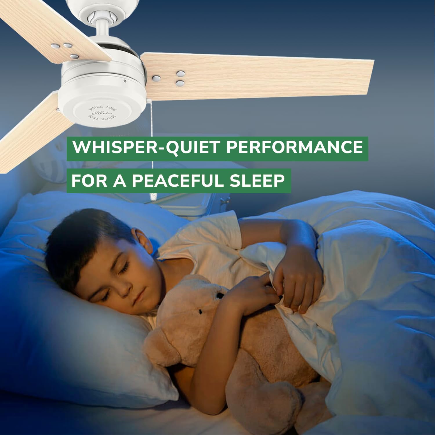 Hunter Fan 50262 Cassius 44-Inch Outdoor Ceiling Fan With Pull Chain Control, No Light, Fresh White Finish