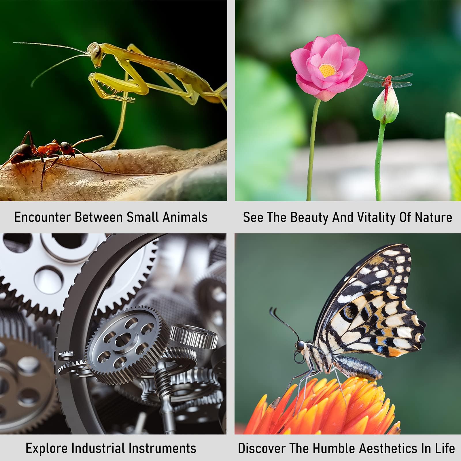 Viltrox Dg-Gfx 18Mm Metal Auto Focus Macro Extension Tube Ring Adapter Compatible With Fuji Gfx 50S 50R Gfx Mount Medium Format