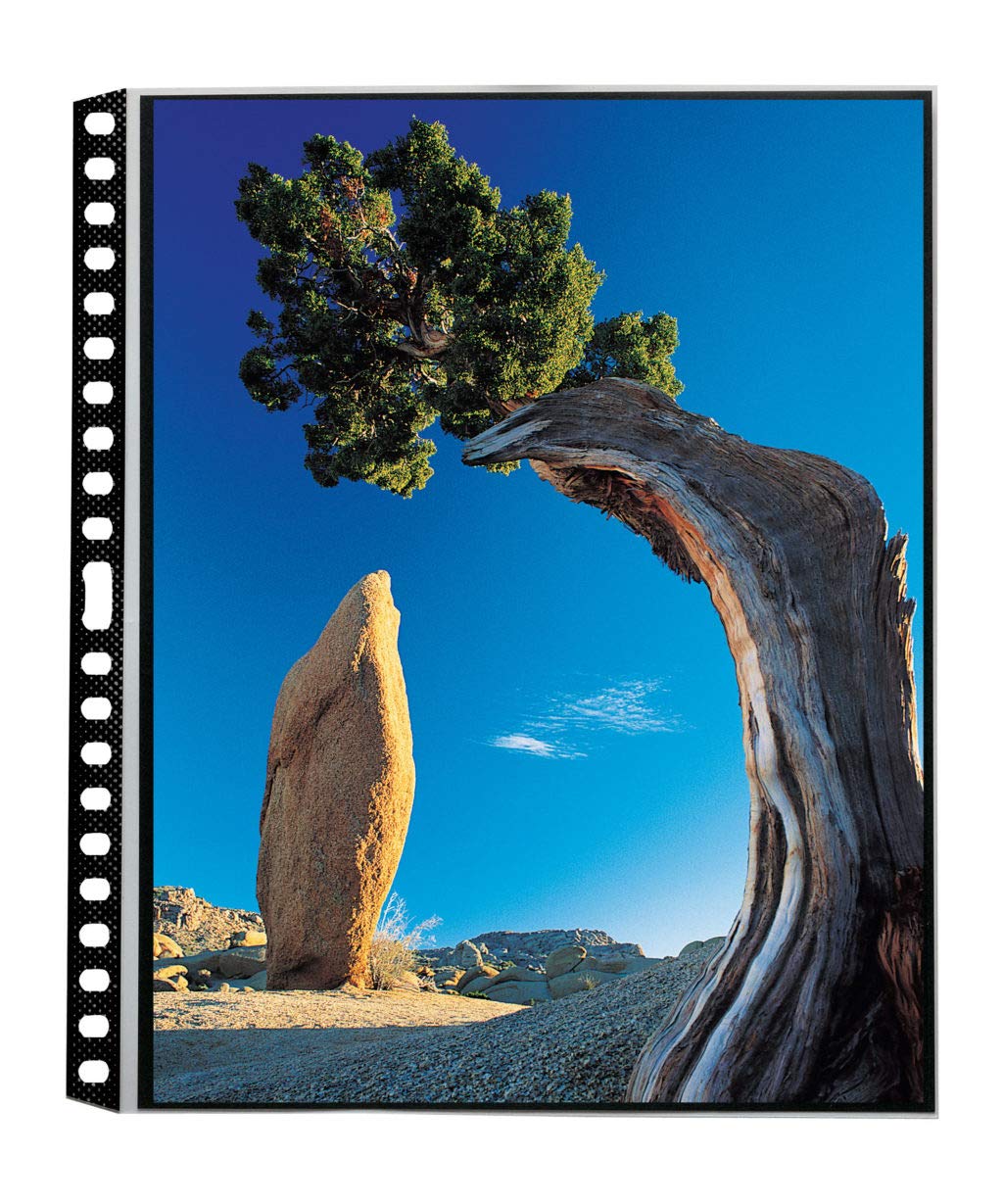 Itoya Polyglass Refills For Poster Size Multi Ring 18X24 Albums   18X24