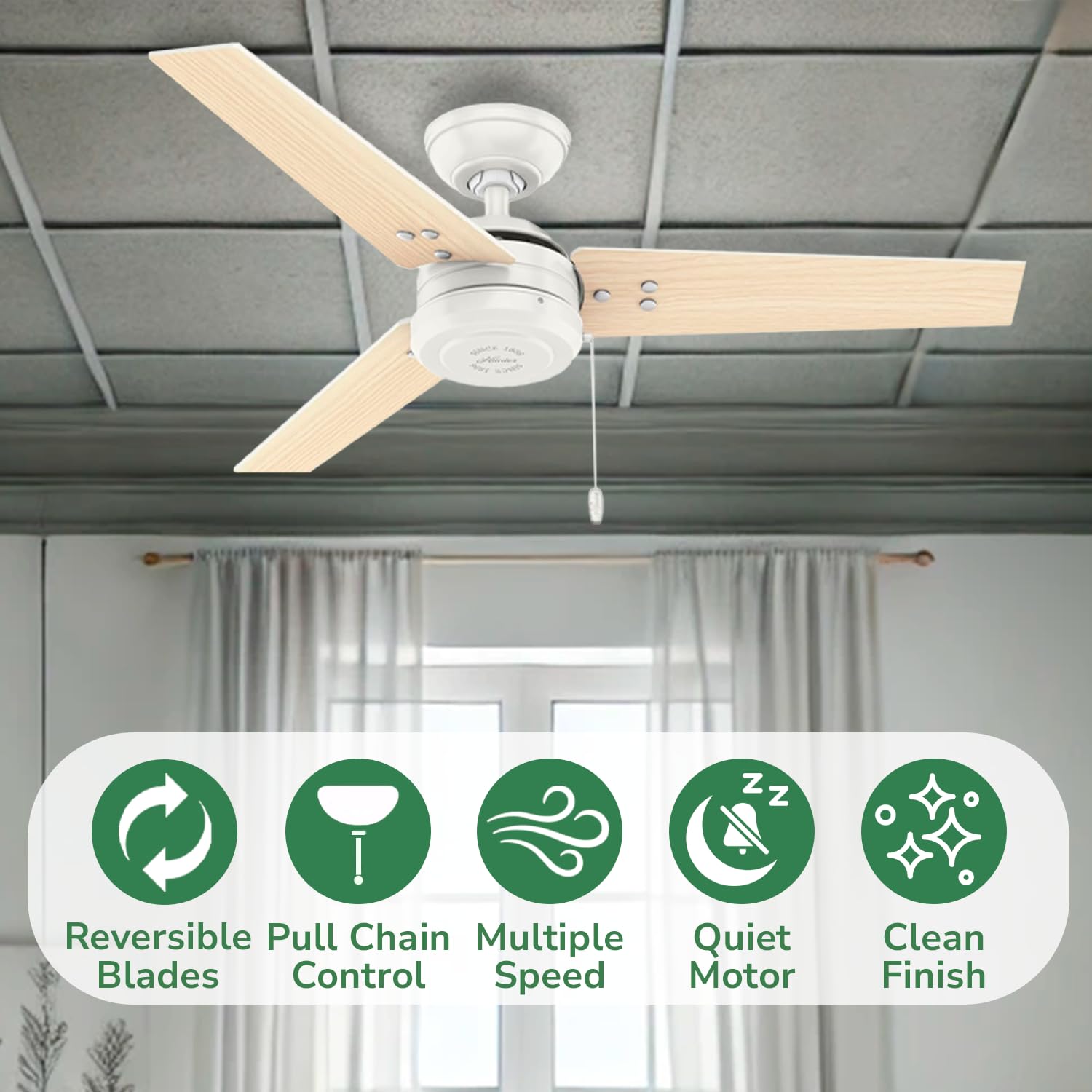 Hunter Fan 50262 Cassius 44-Inch Outdoor Ceiling Fan With Pull Chain Control, No Light, Fresh White Finish