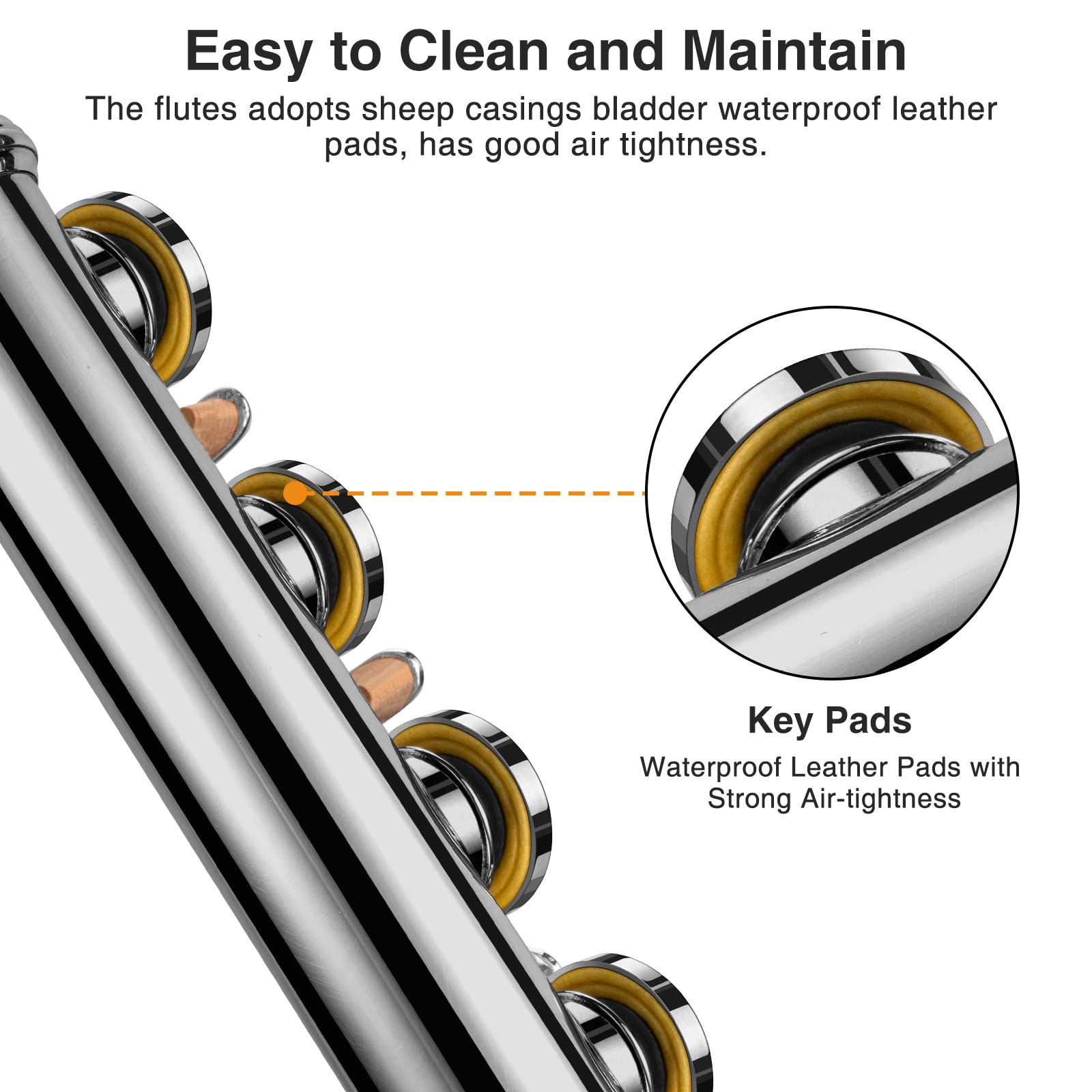 Pogolab Flutes, Closed Hole C 16 Keys Flute Instrument, Student Flute For Beginner Advanced Player, With Flute Cleaning Kit, Car