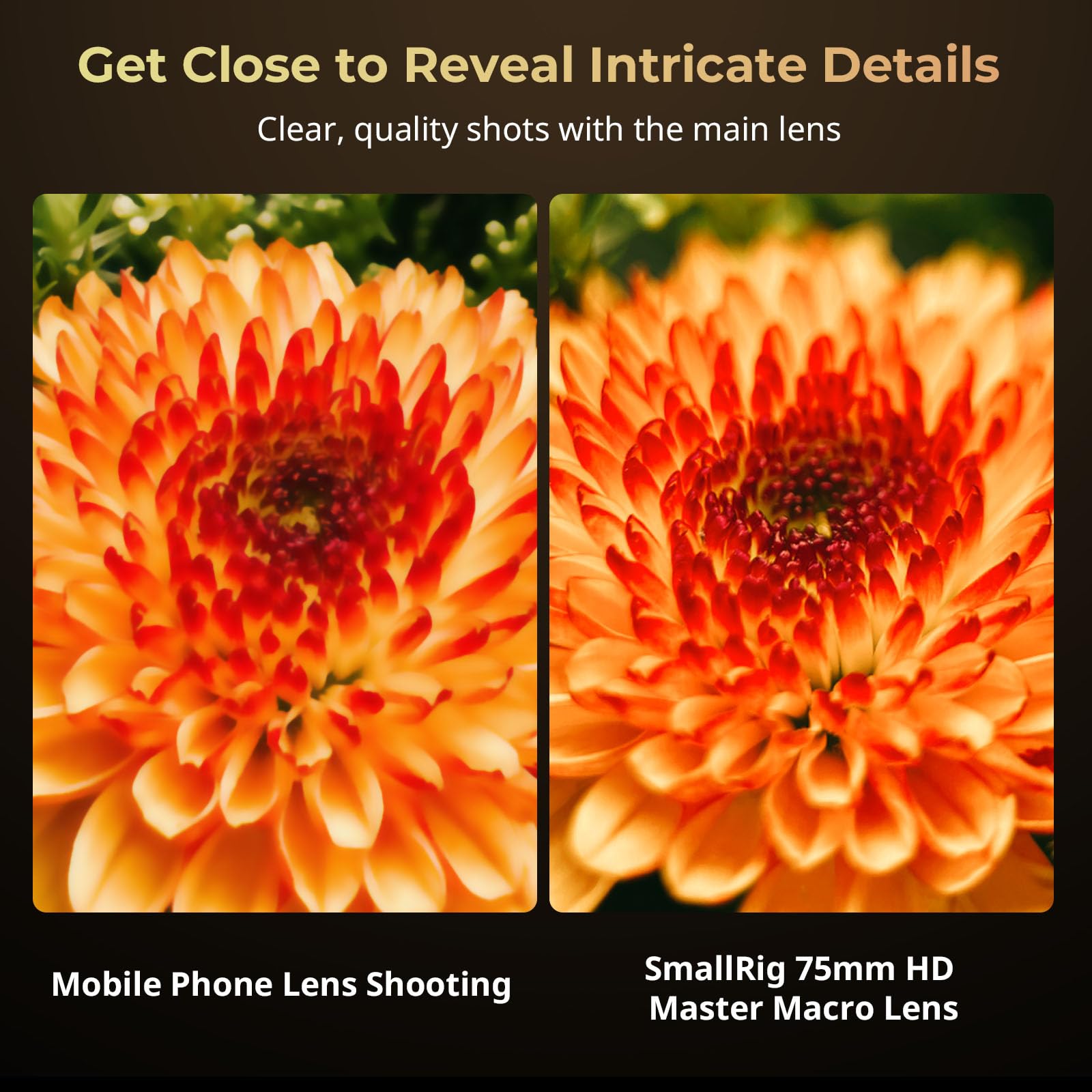 Smallrig 75Mm Hd Master Macro Lens, T-Mount Lens For Iphone, For Samsung, For Huawei, For Xiaomi, Macro Photography Phone Camera