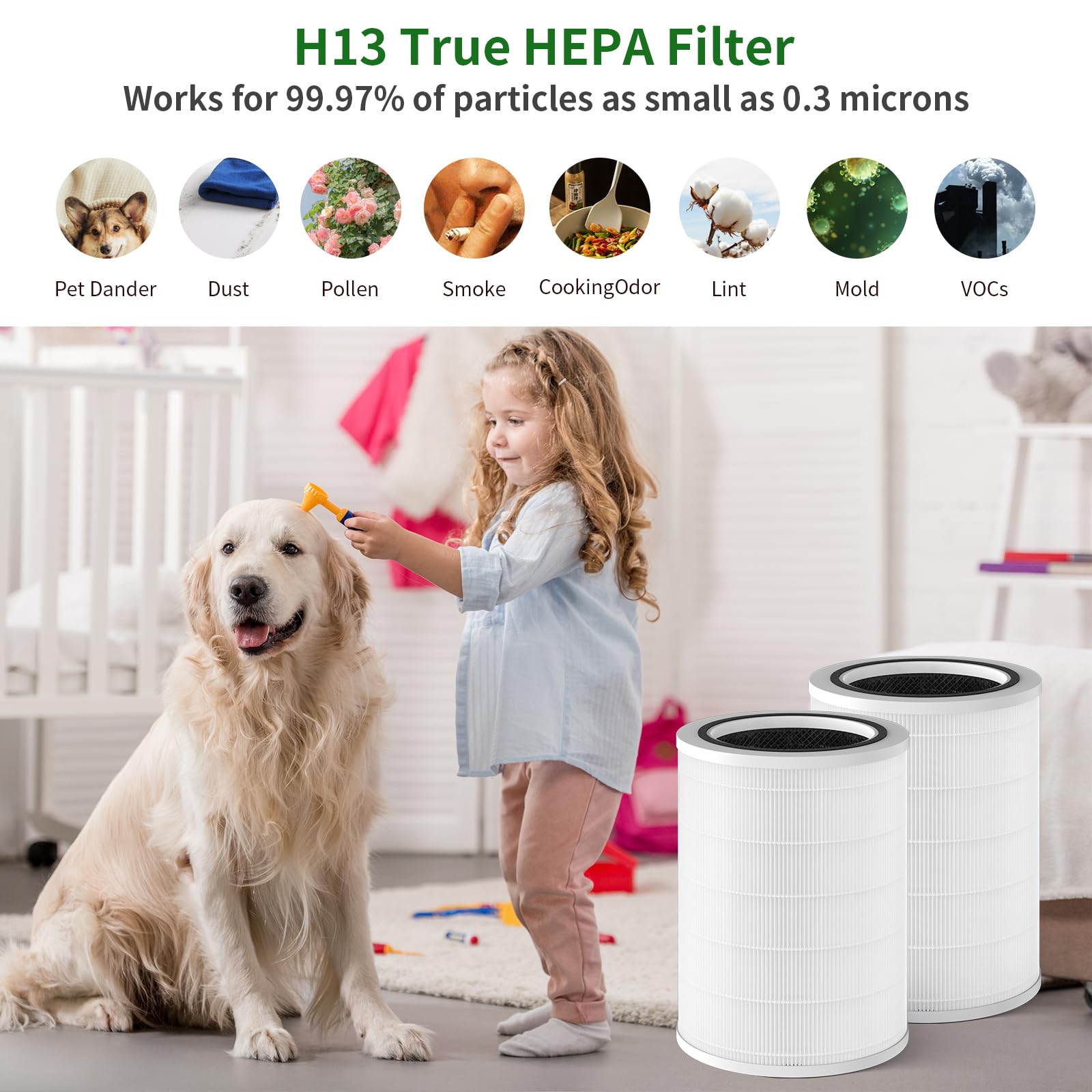 Gokbny 2 Pack Hepa Replacement Filter Compatible With Clorox Large Room Purifier, Model # 11010 & 11011, 1,500 Sq. Ft. Capacity(